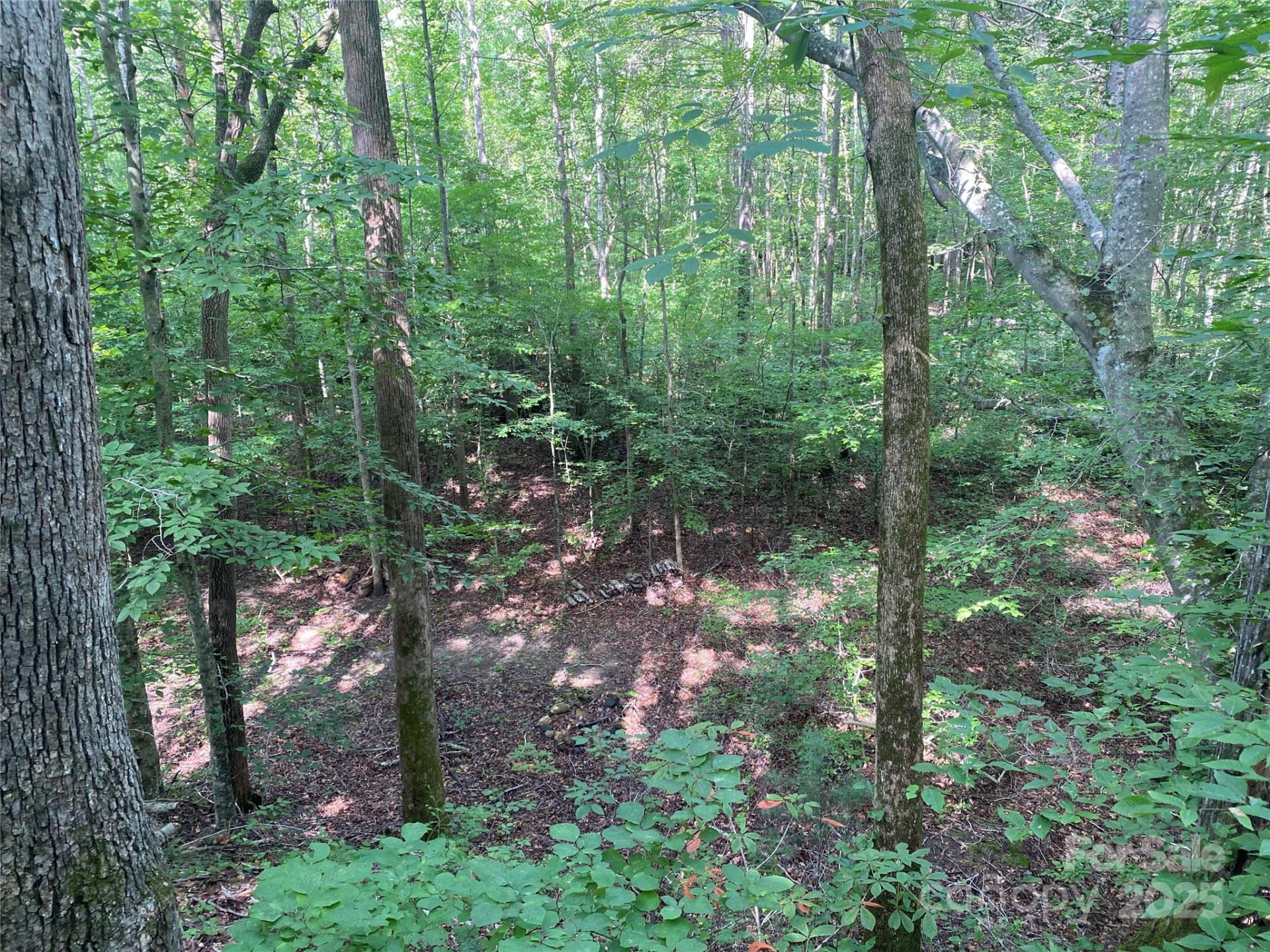 0 Camp McCall Road - Photo 15