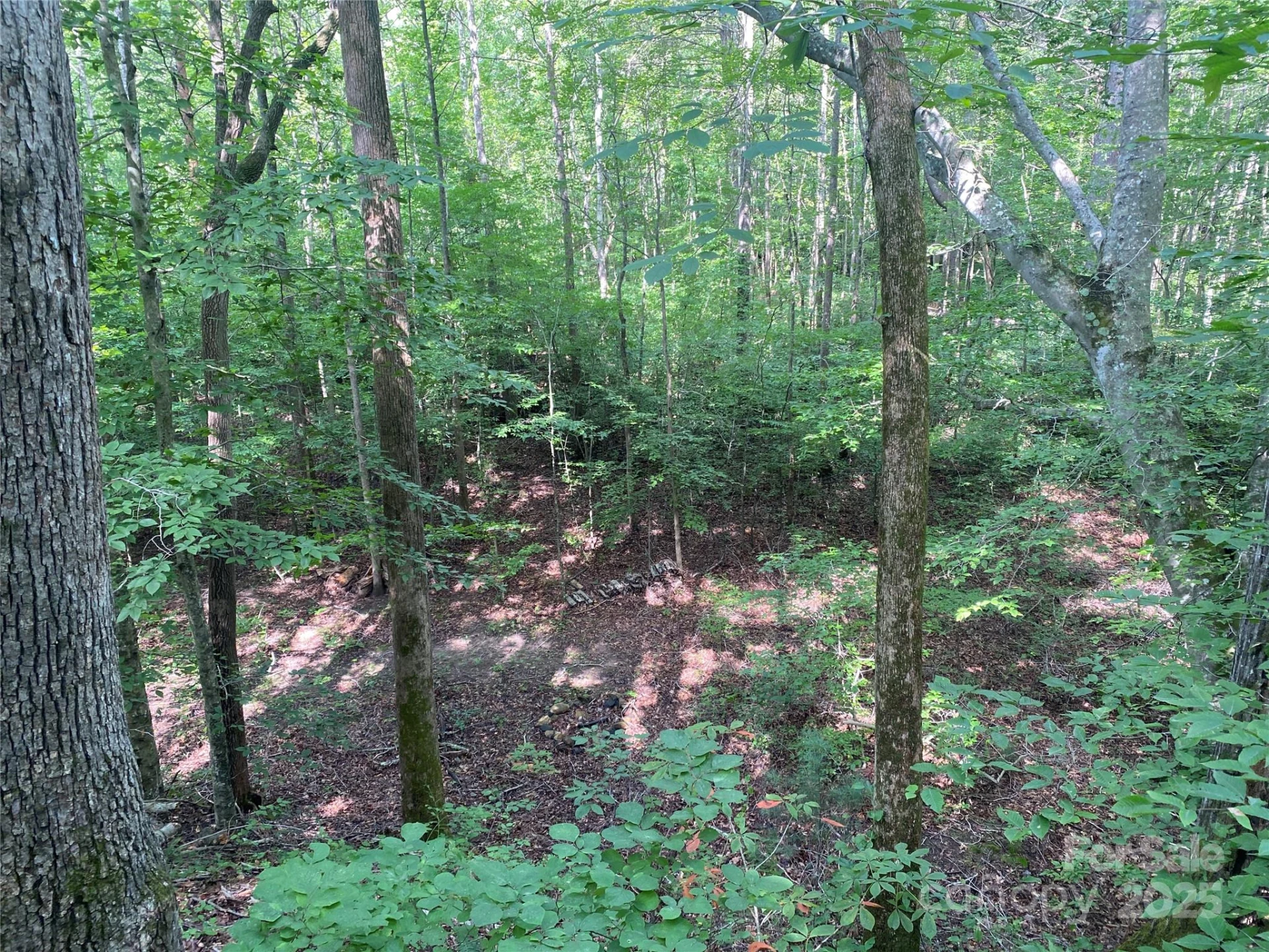 0 Camp McCall Road - Photo 15