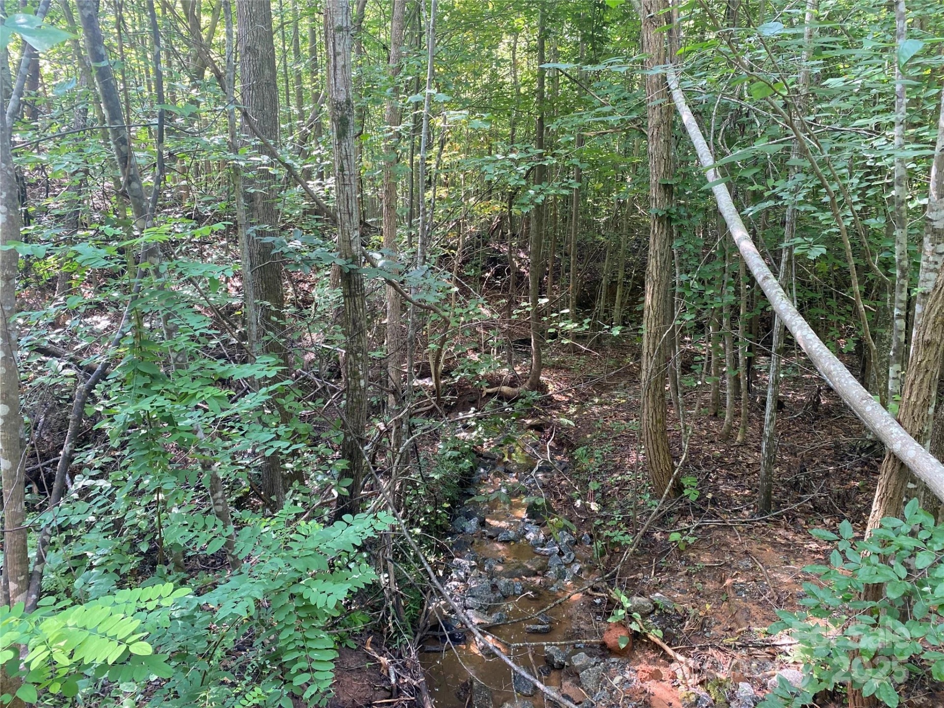 0 Camp McCall Road - Photo 16