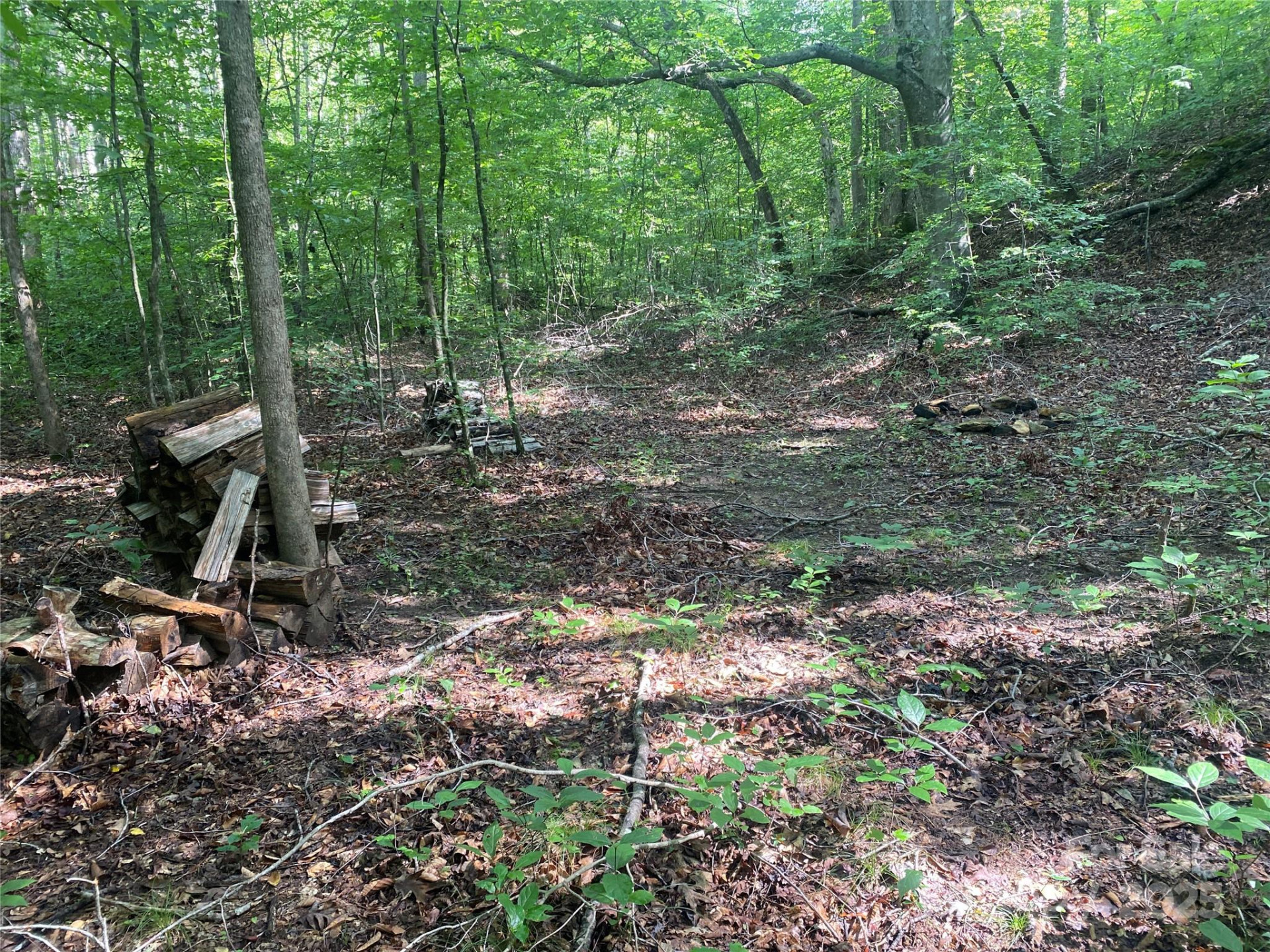 0 Camp McCall Road - Photo 17