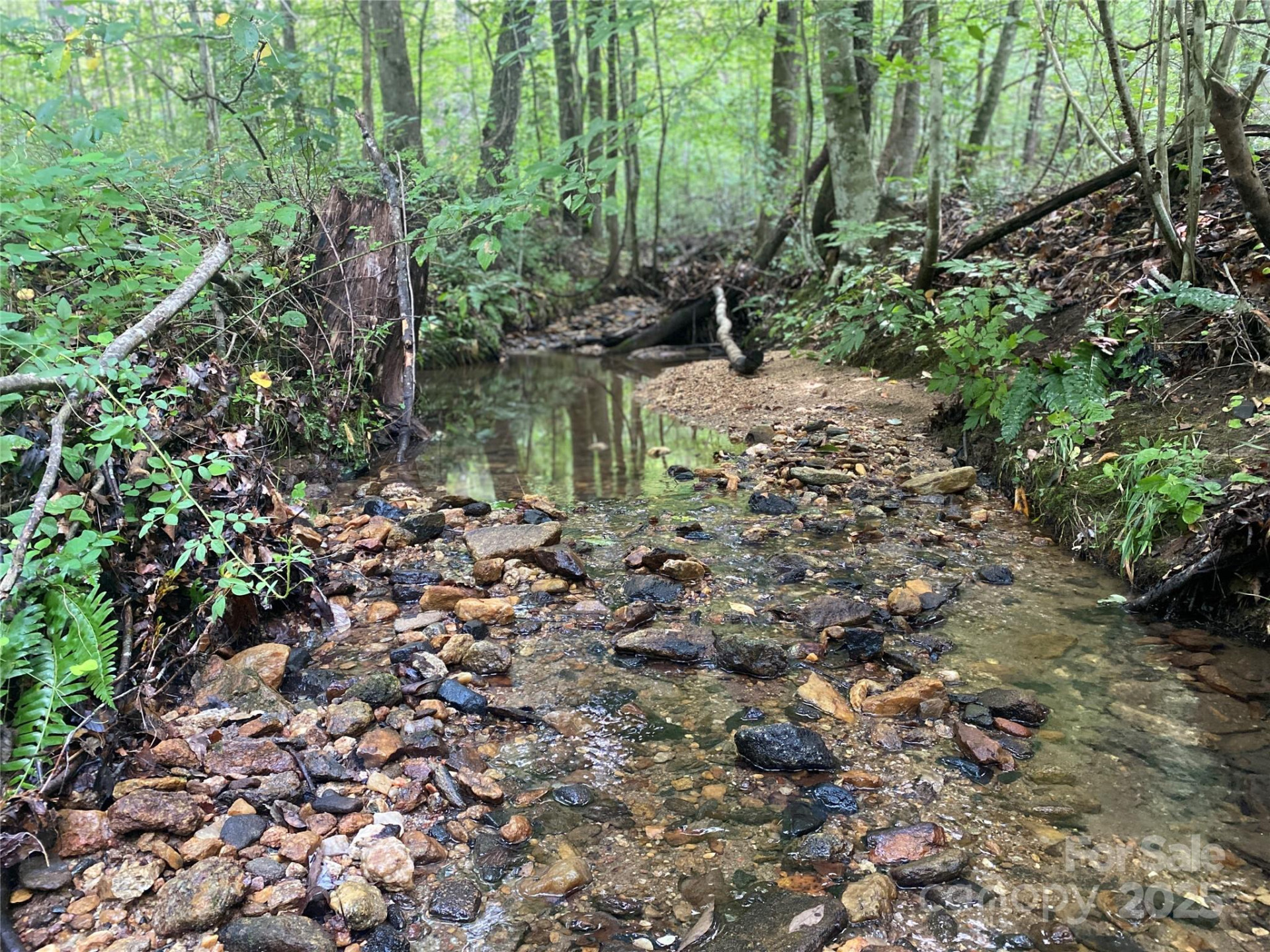 0 Camp McCall Road - Photo 18