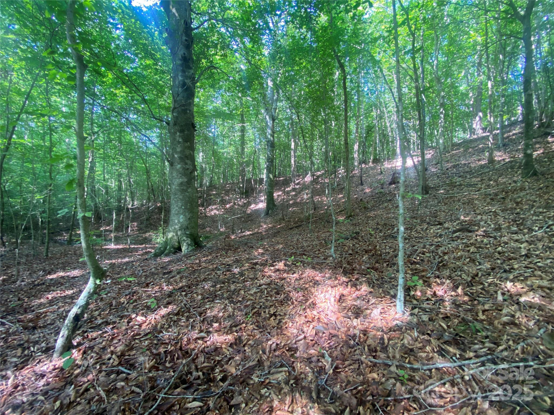 0 Camp McCall Road - Photo 19