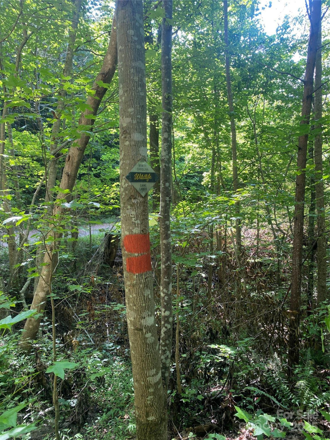 0 Camp McCall Road - Photo 20