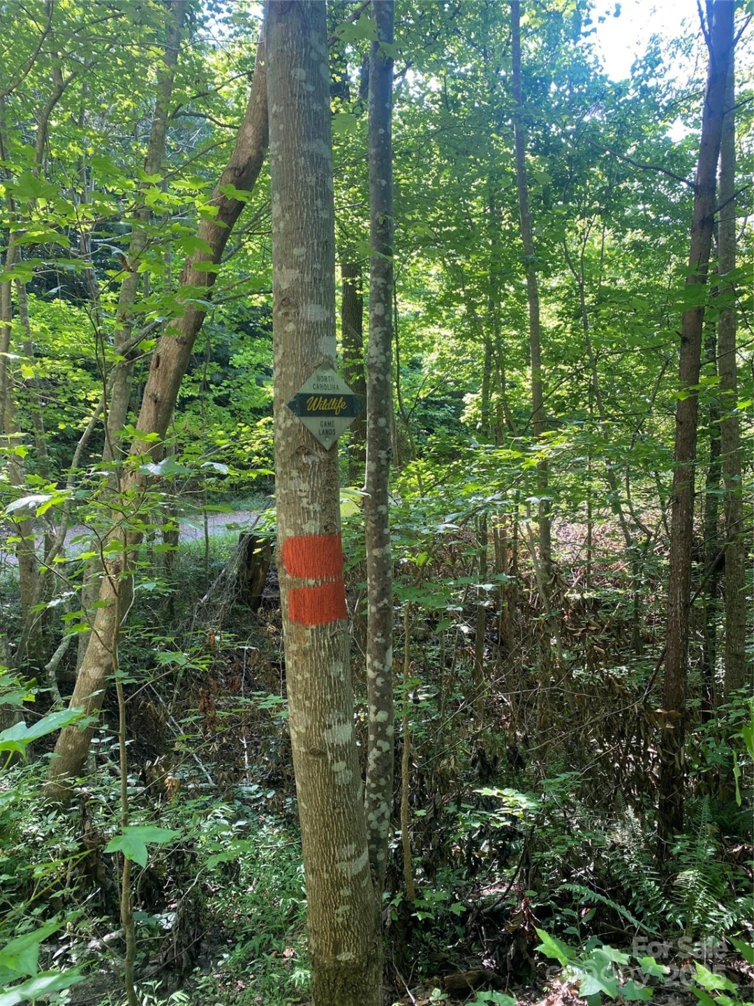 0 Camp McCall Road - Photo 20