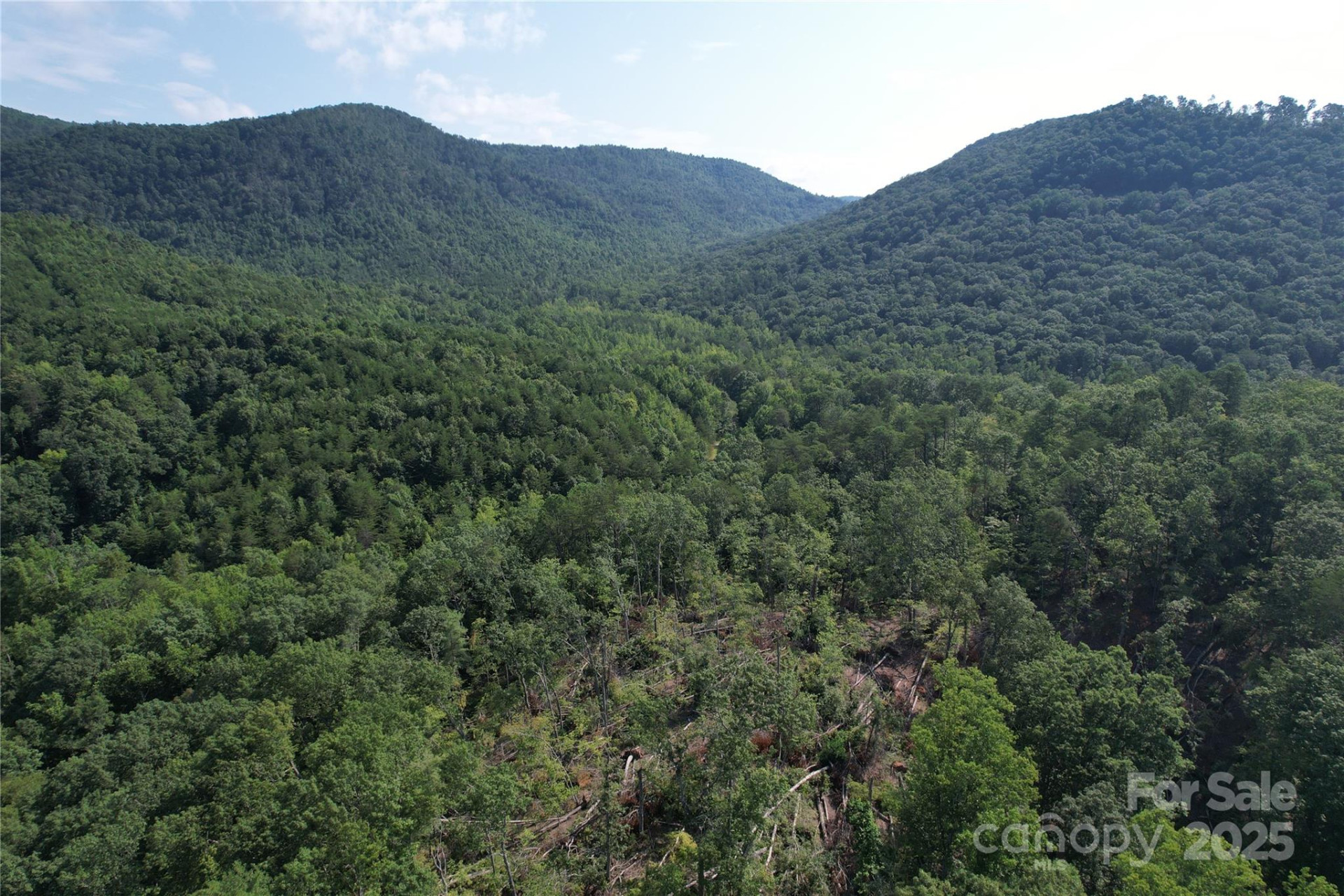 0 Camp McCall Road - Photo 3