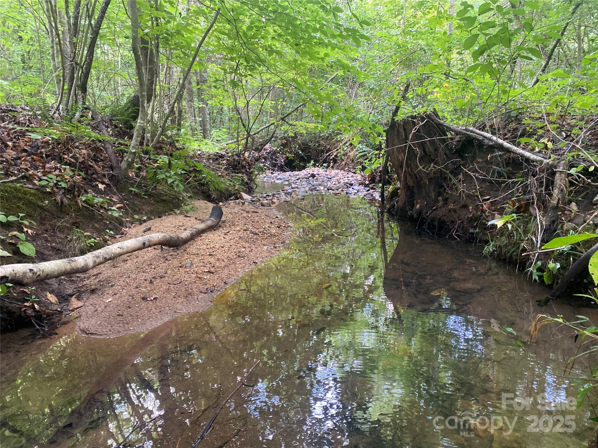 0 Camp McCall Road - Photo 21