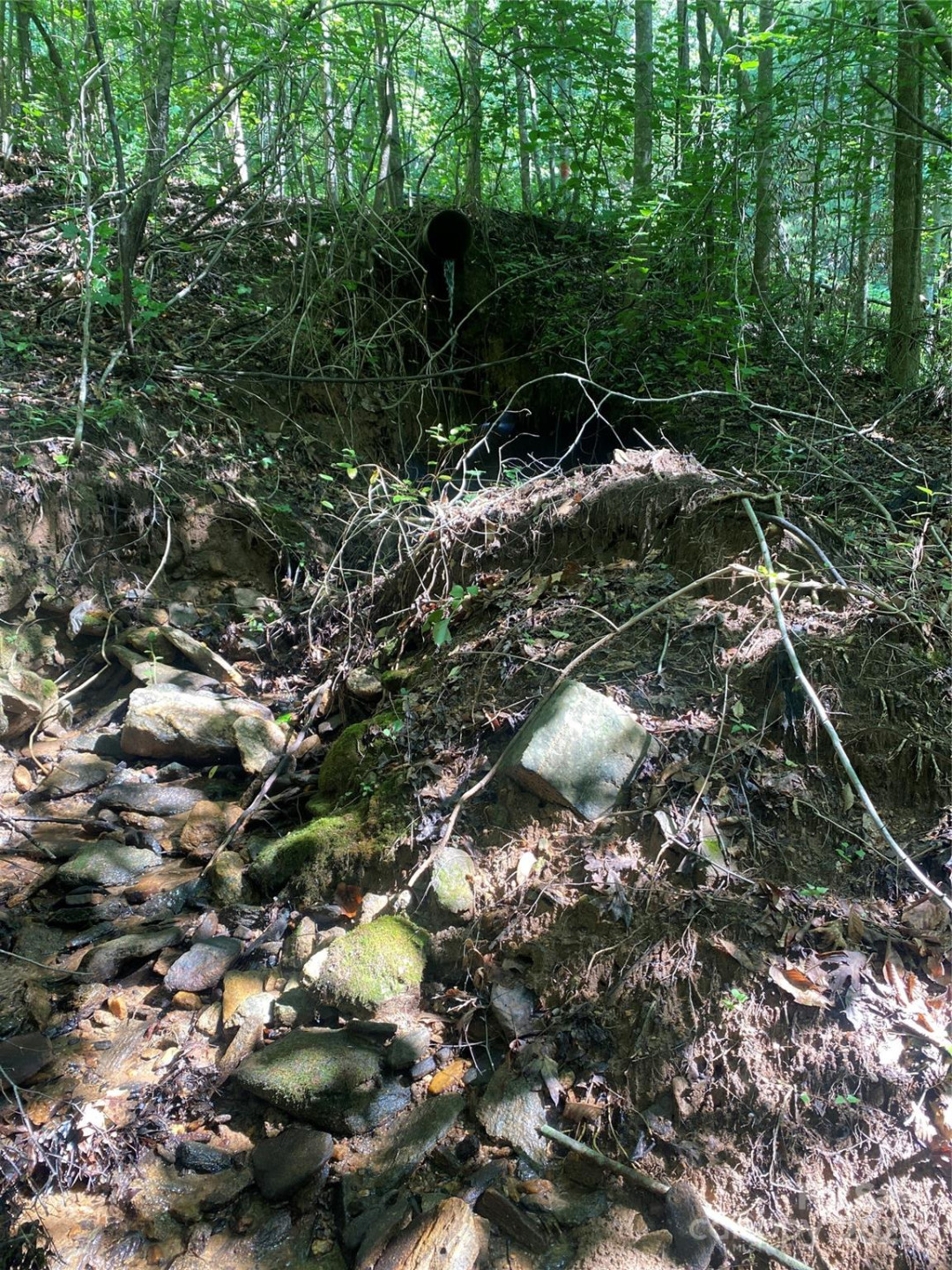 0 Camp McCall Road - Photo 22