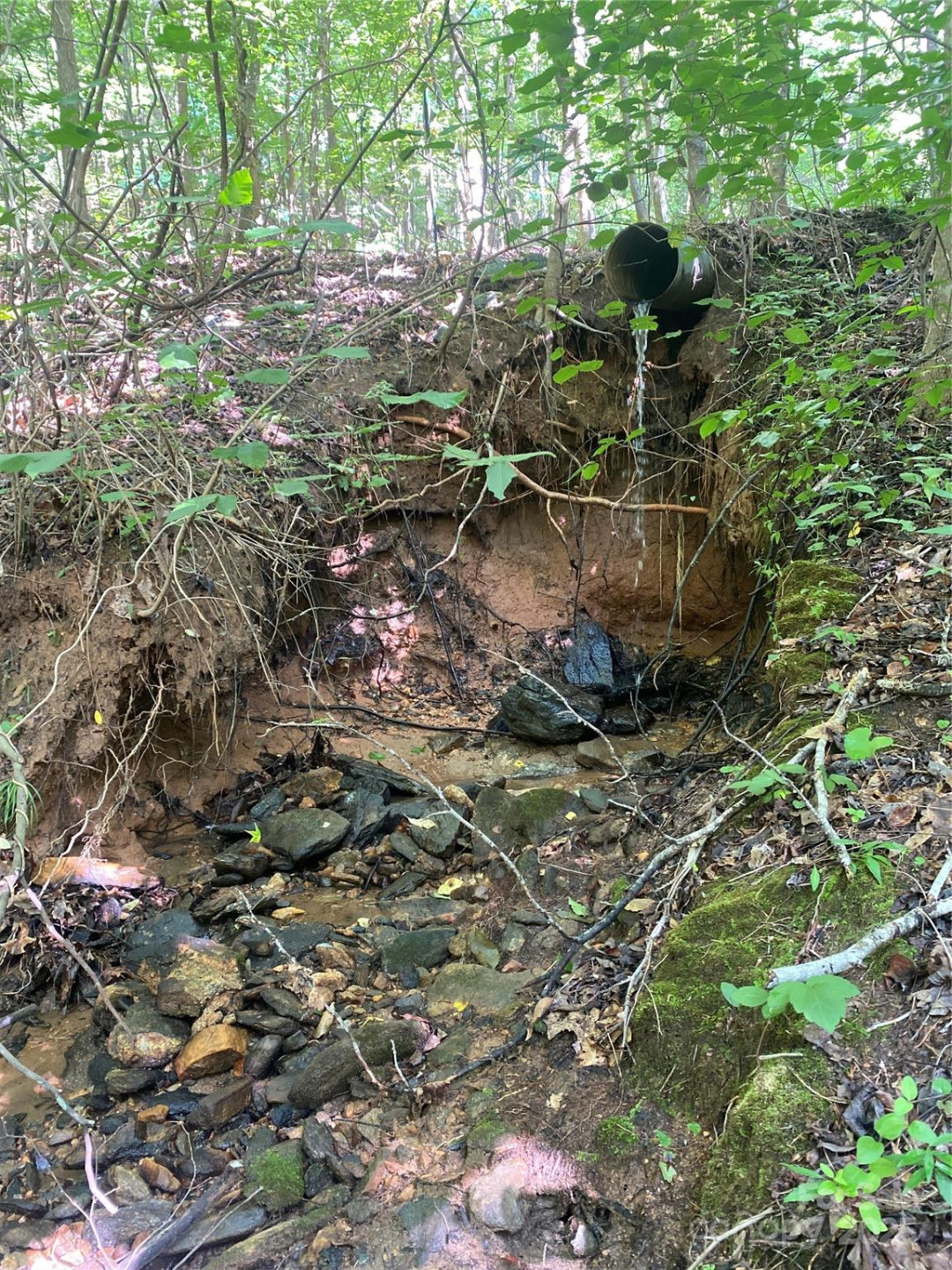 0 Camp McCall Road - Photo 23