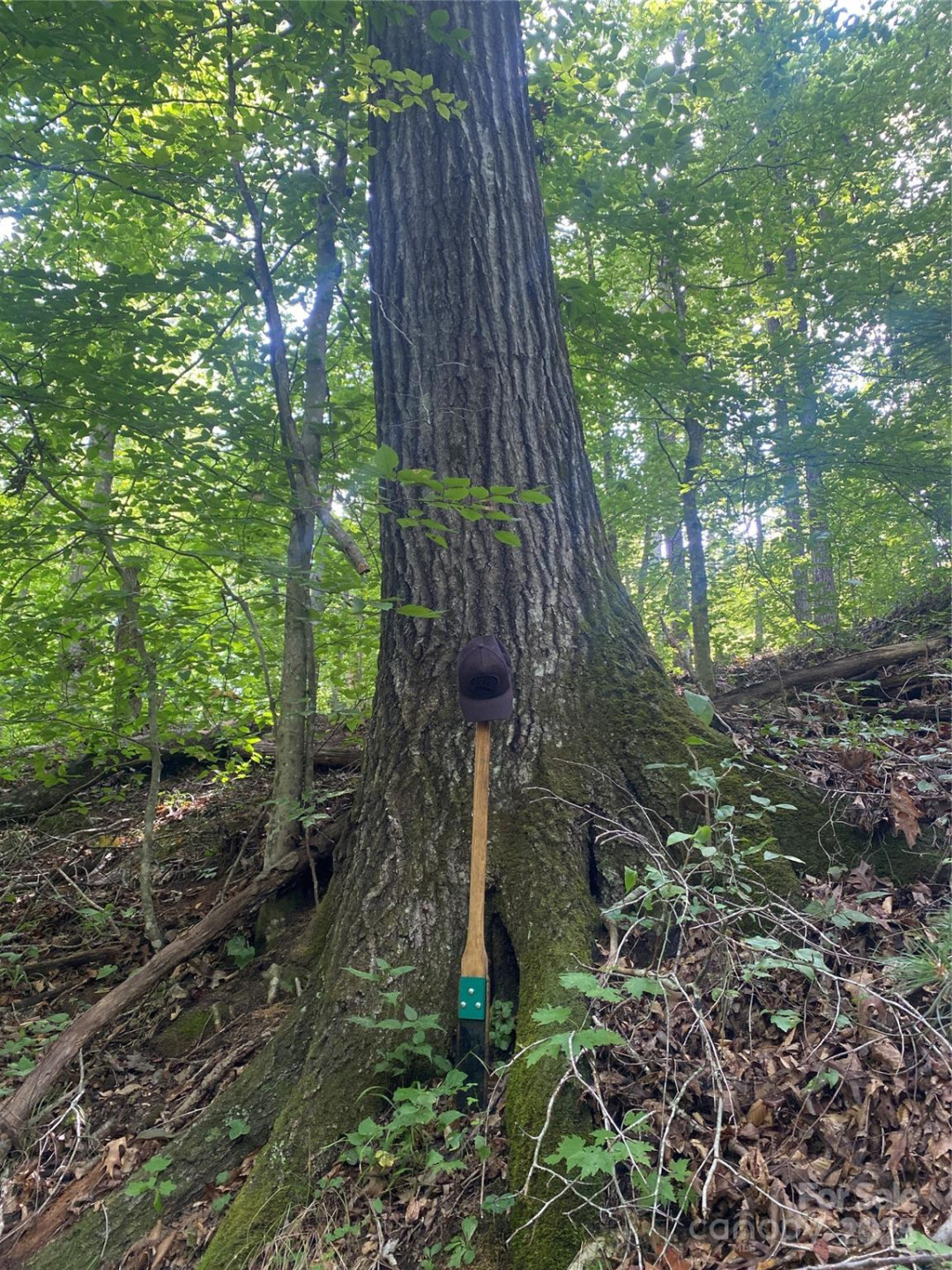 0 Camp McCall Road - Photo 24