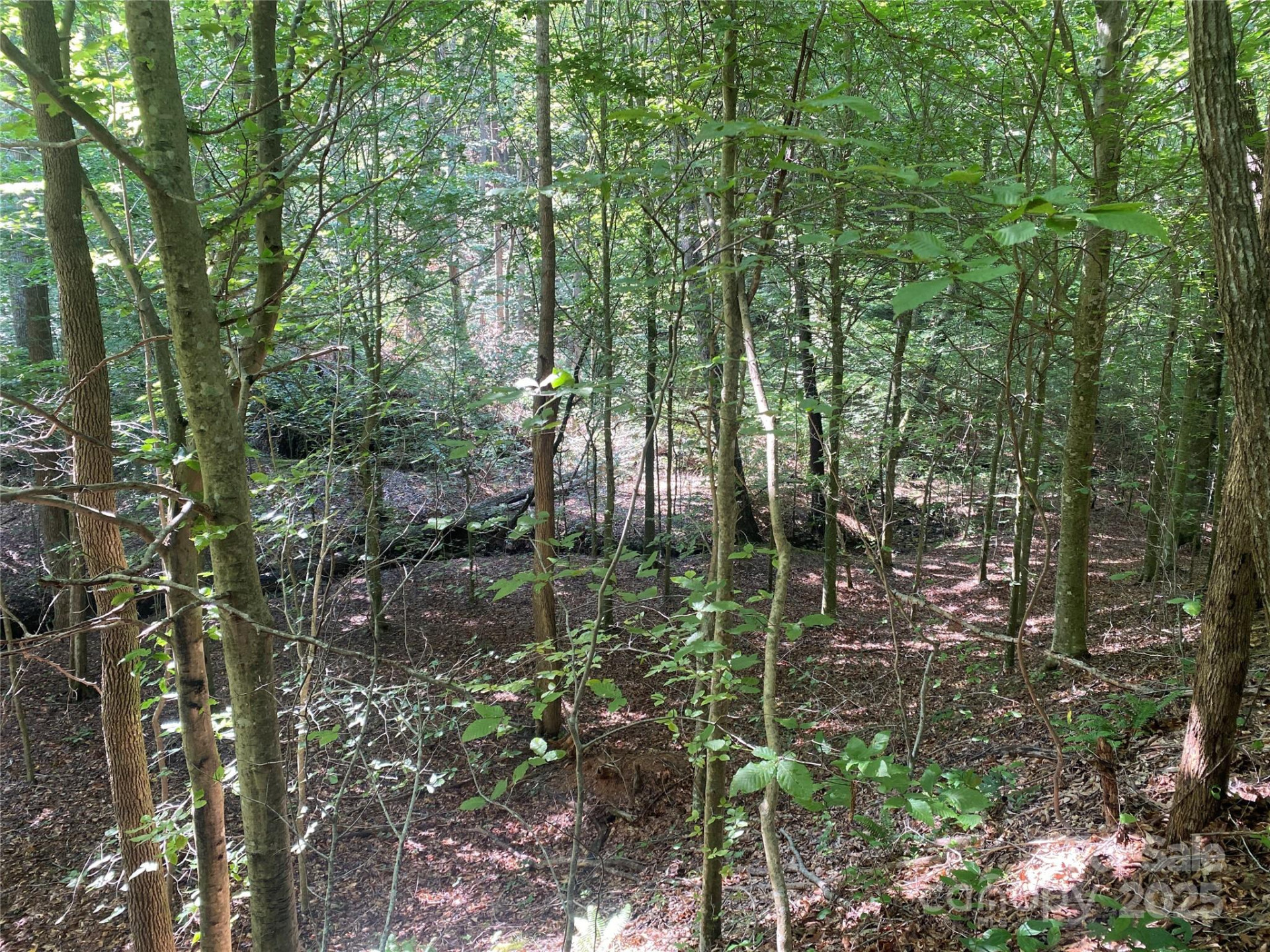 0 Camp McCall Road - Photo 25