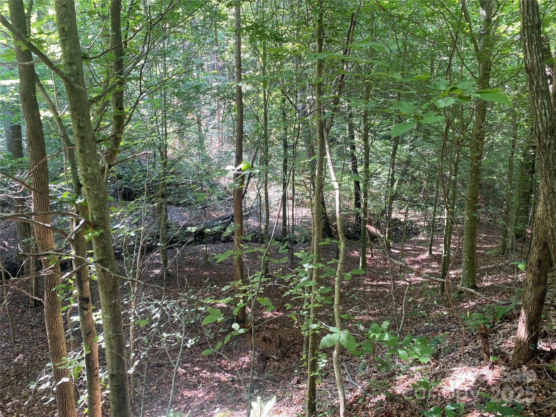 0 Camp McCall Road - Photo 25