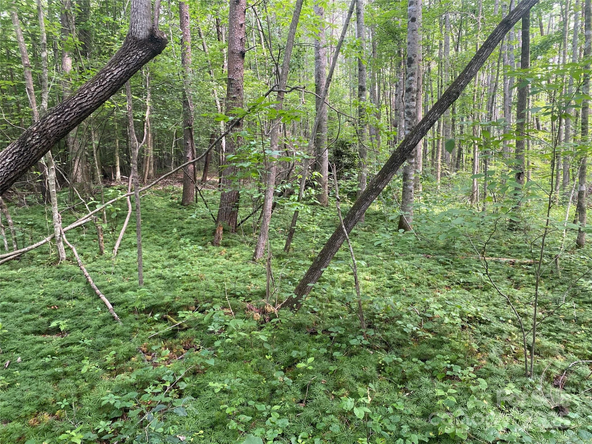0 Camp McCall Road - Photo 28