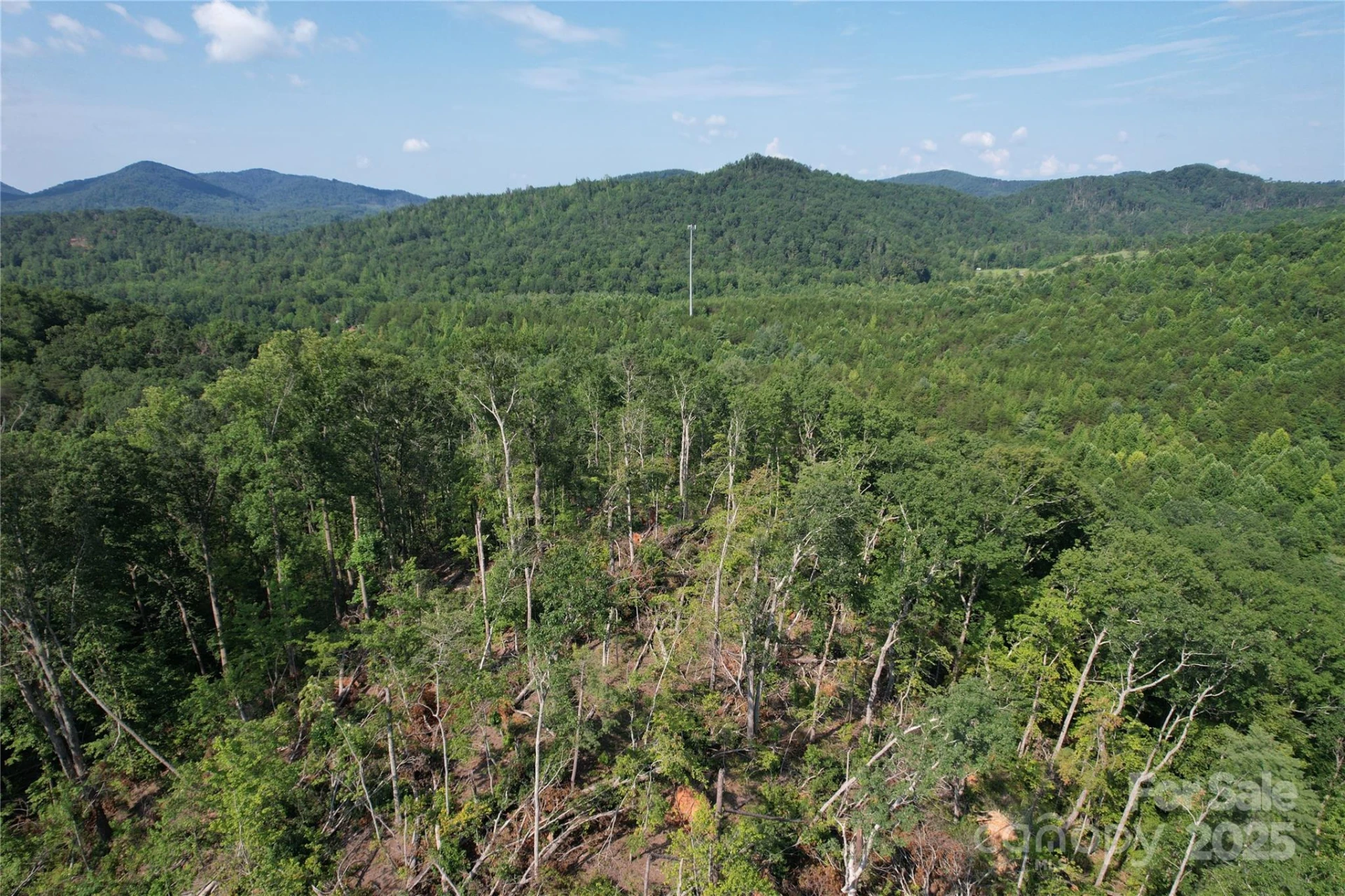 0 Camp McCall Road - Photo 29