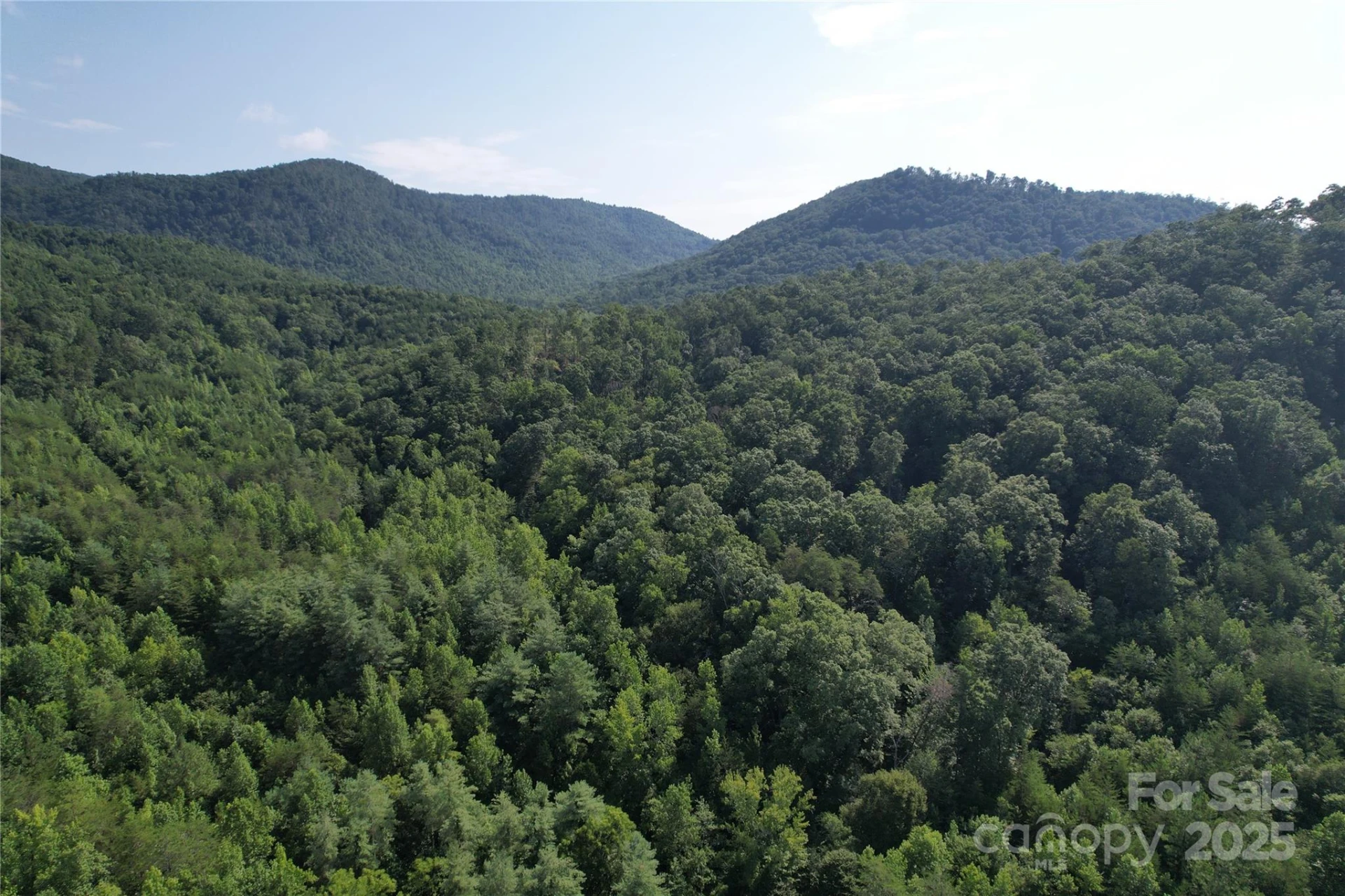 0 Camp McCall Road - Photo 4