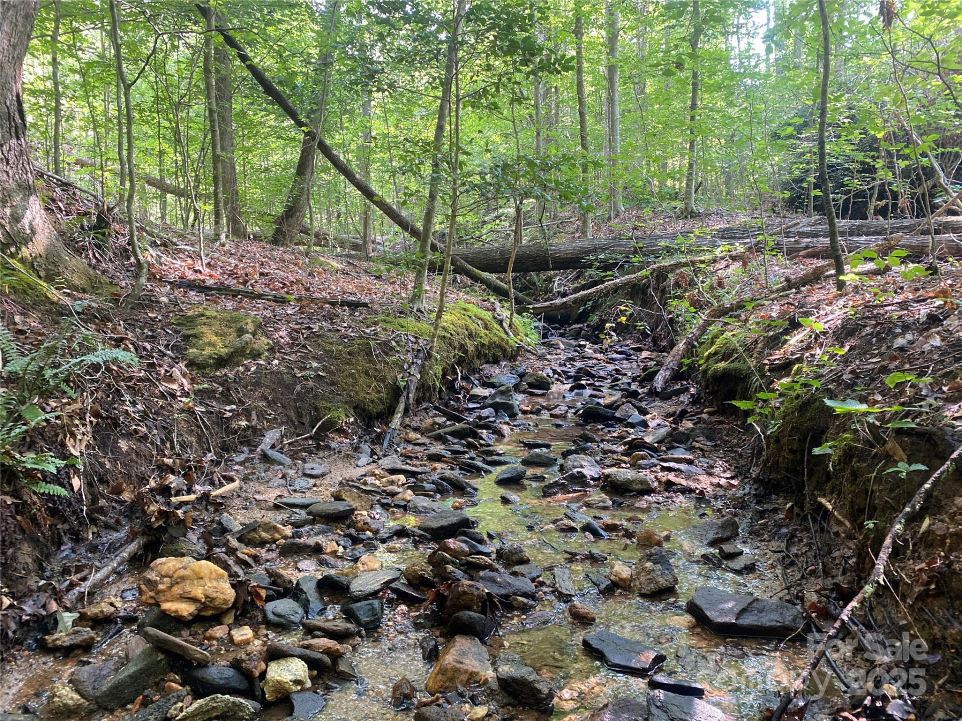 0 Camp McCall Road - Photo 5