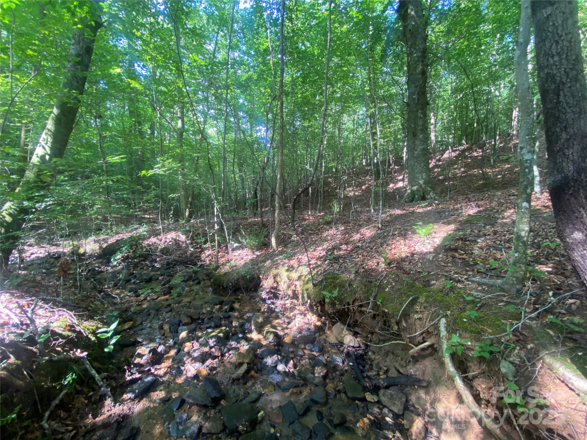 0 Camp McCall Road - Photo 6