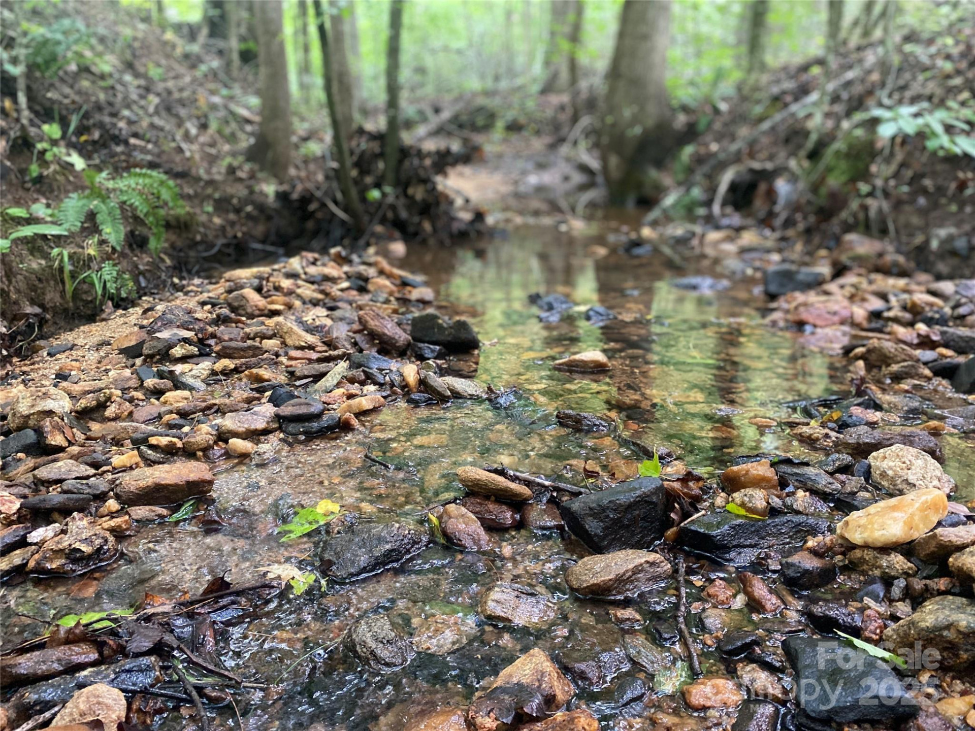 0 Camp McCall Road - Photo 8