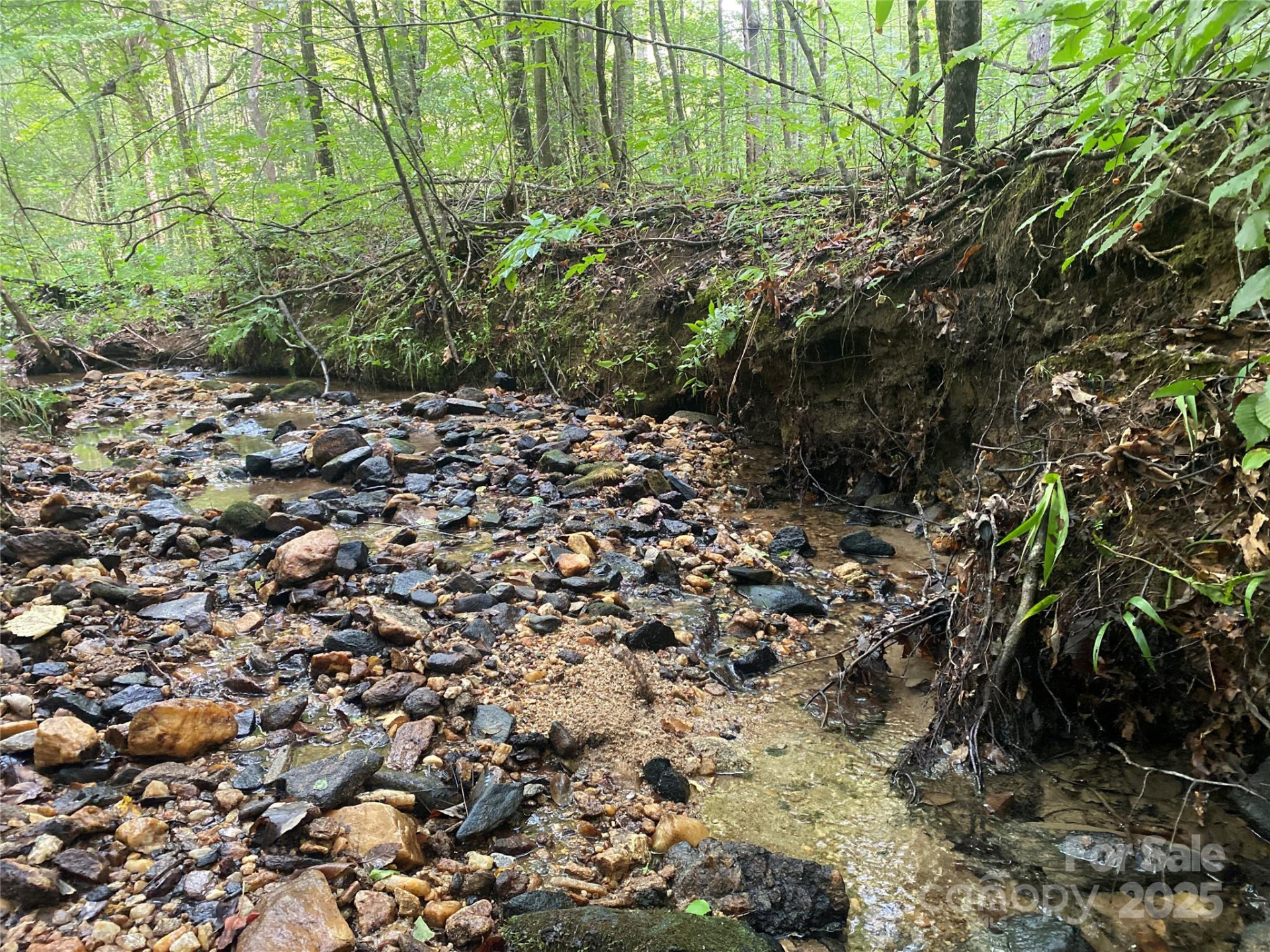 0 Camp McCall Road - Photo 9