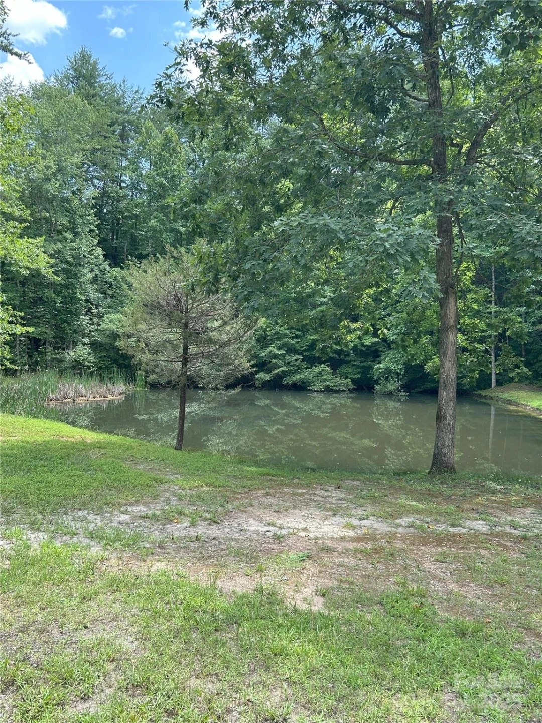 0 Poplar Ridge Lane - Photo 12