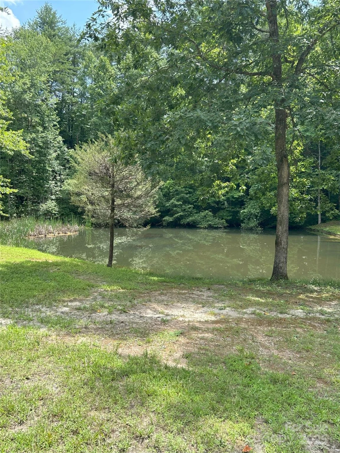 0 Poplar Ridge Lane - Photo 14