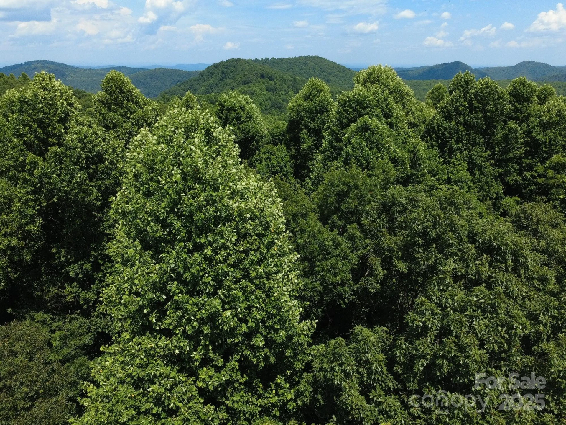 0 Poplar Ridge Lane - Photo 16