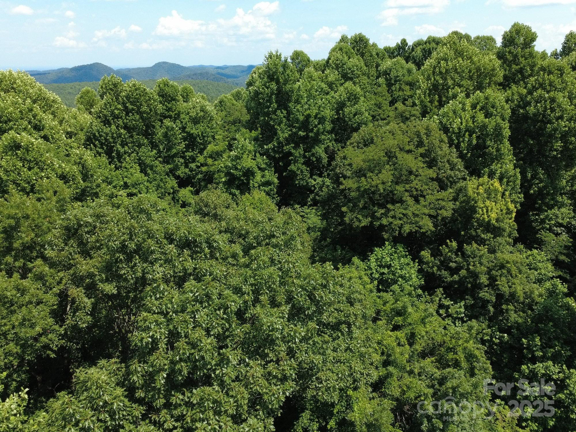 0 Poplar Ridge Lane - Photo 17