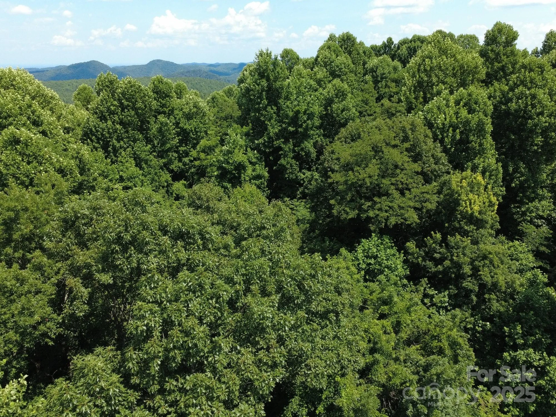 0 Poplar Ridge Lane - Photo 17