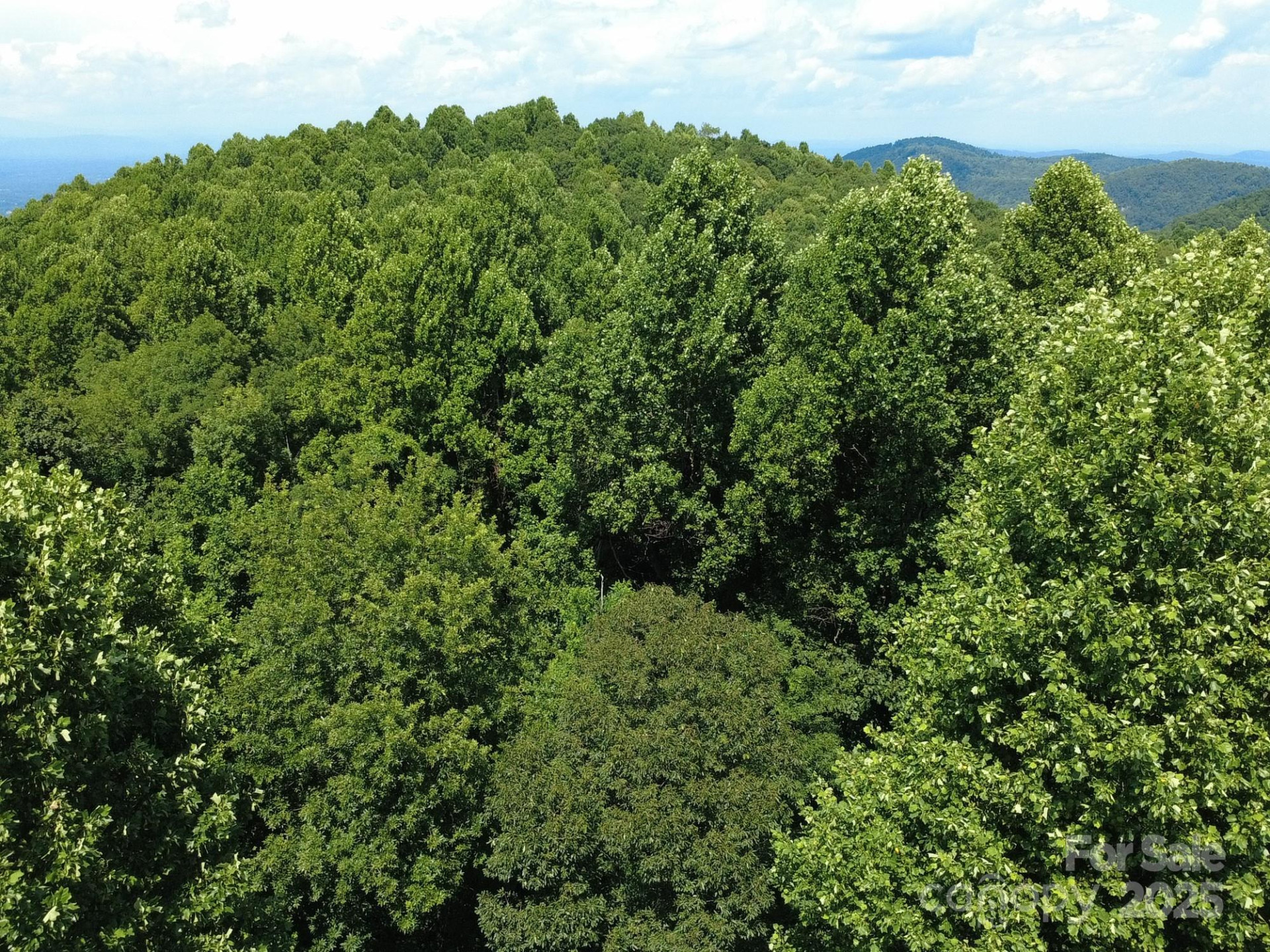 0 Poplar Ridge Lane - Photo 18