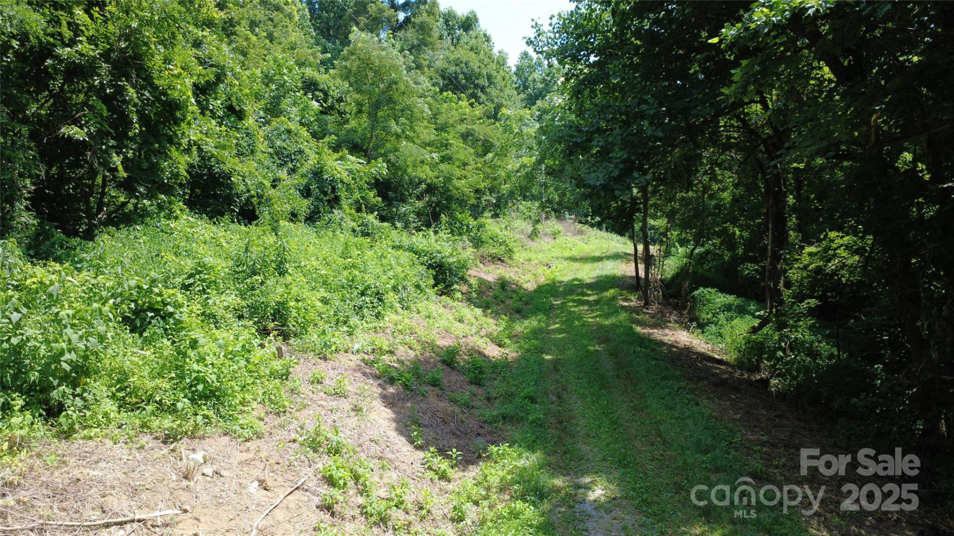 0 Poplar Ridge Lane - Photo 3