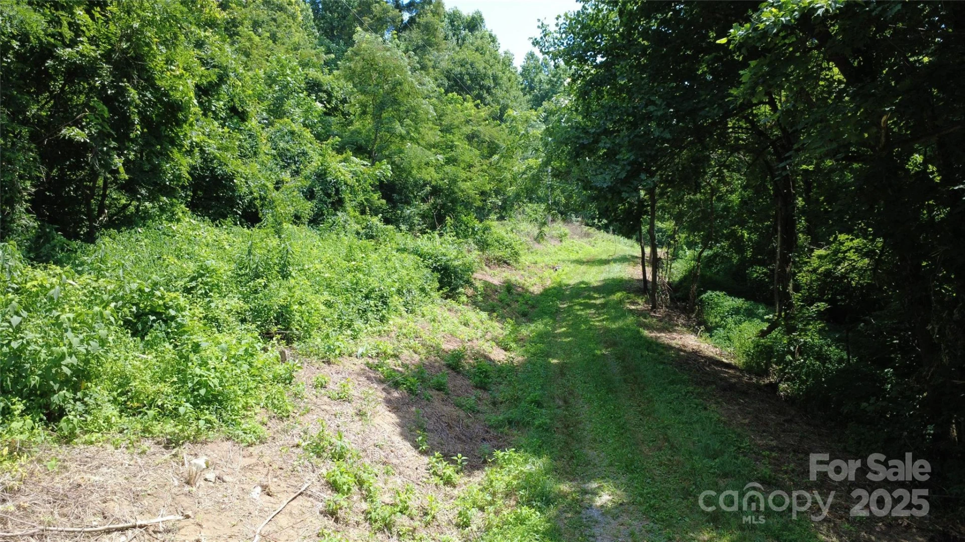 0 Poplar Ridge Lane - Photo 3