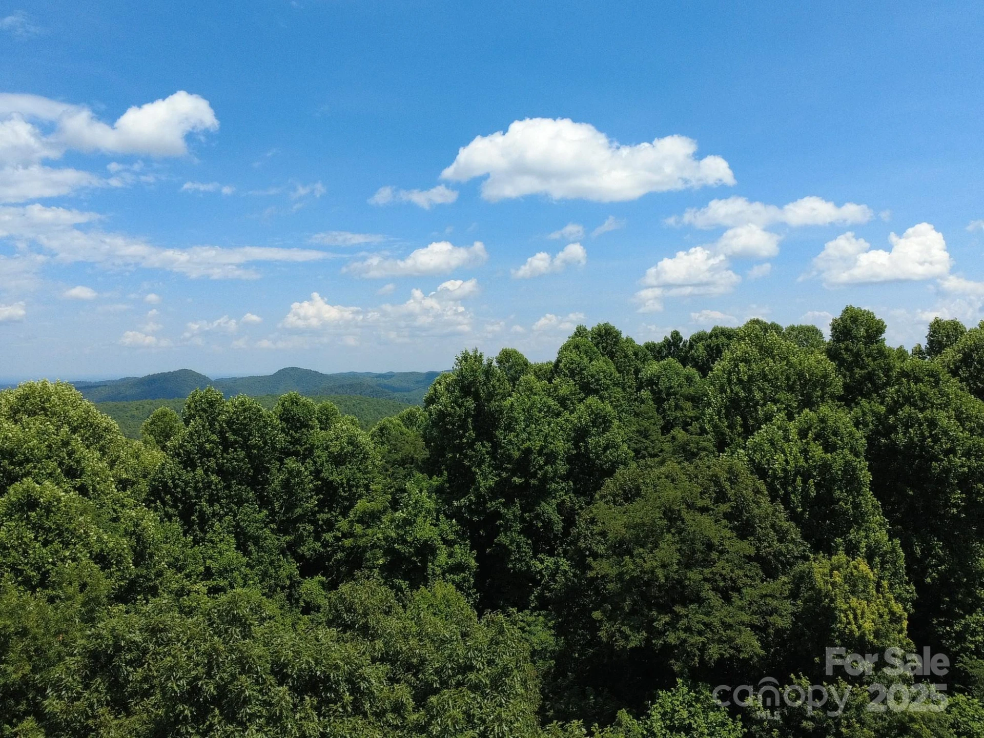 0 Poplar Ridge Lane - Photo 4