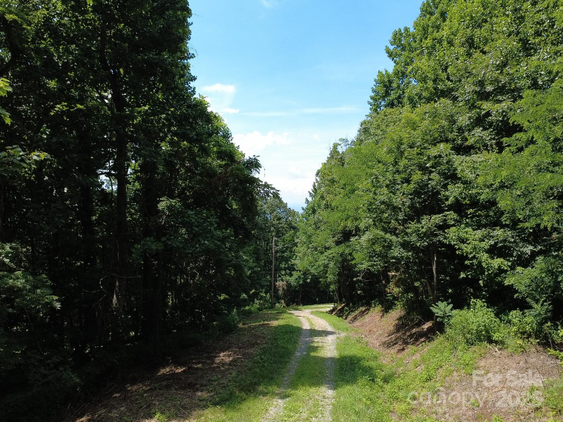 0 Poplar Ridge Lane - Photo 8