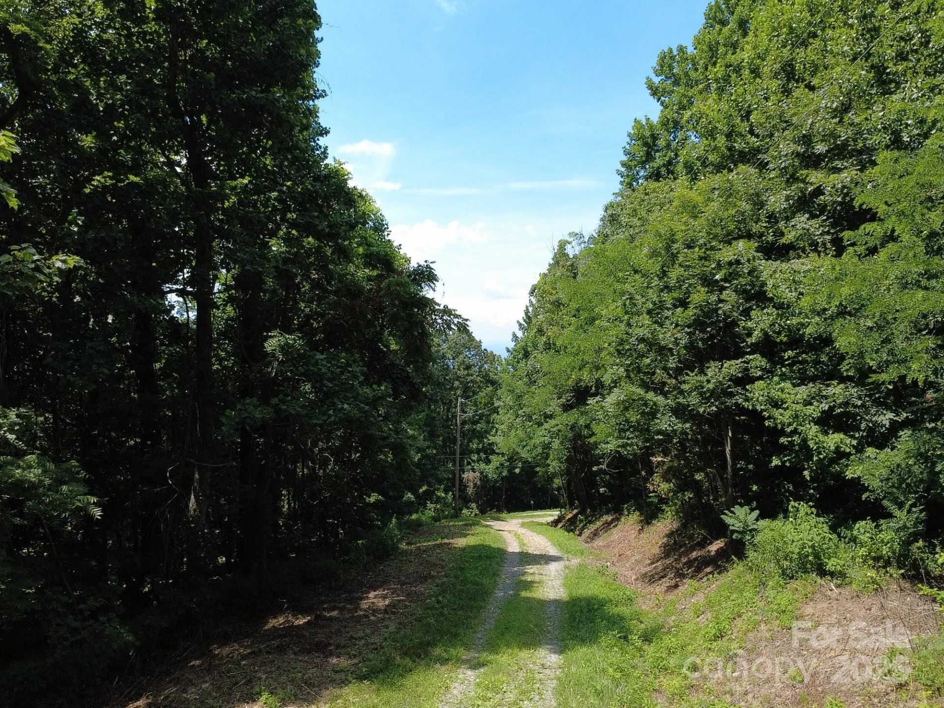 0 Poplar Ridge Lane - Photo 8