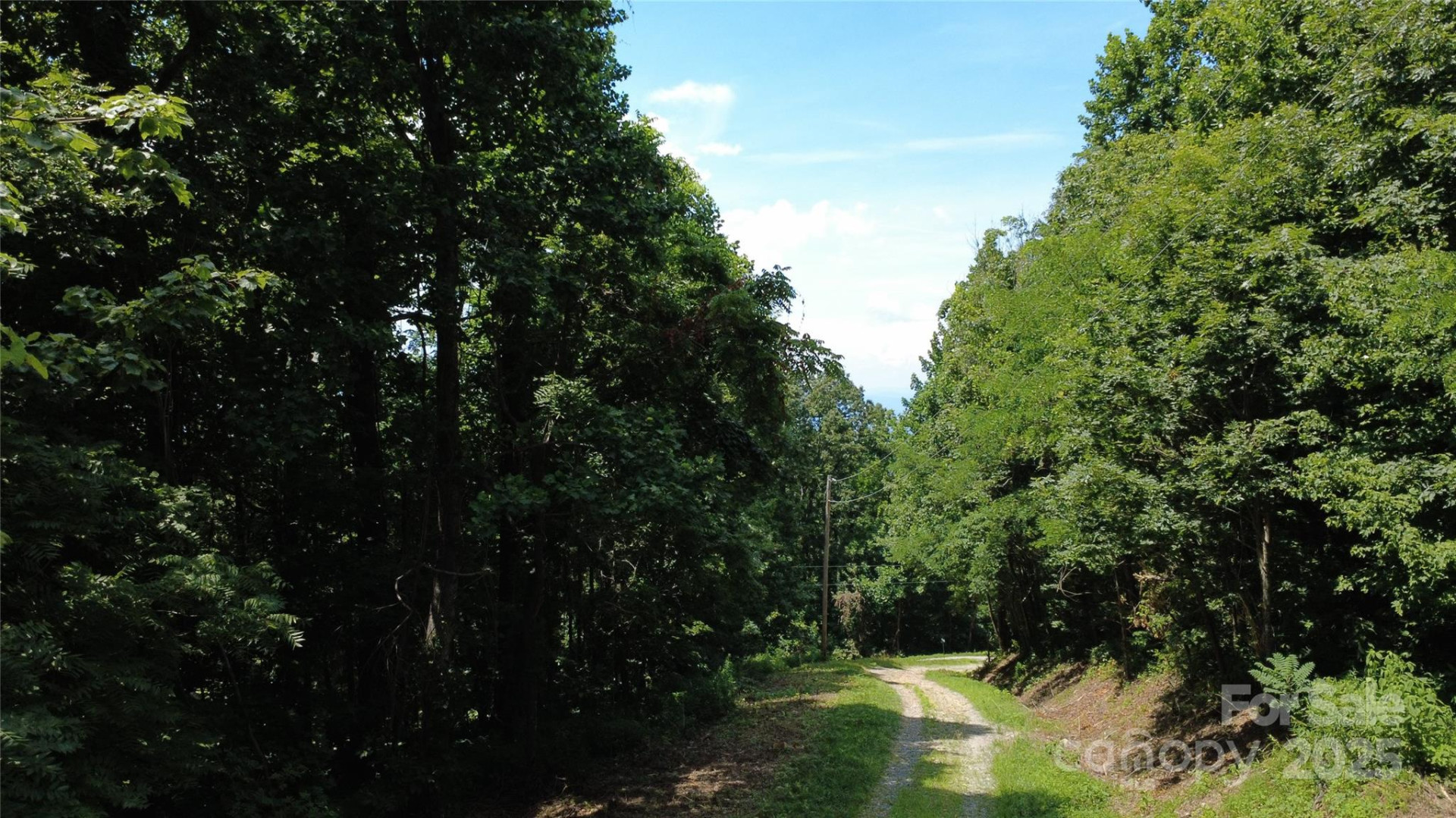 0 Poplar Ridge Lane - Photo 9