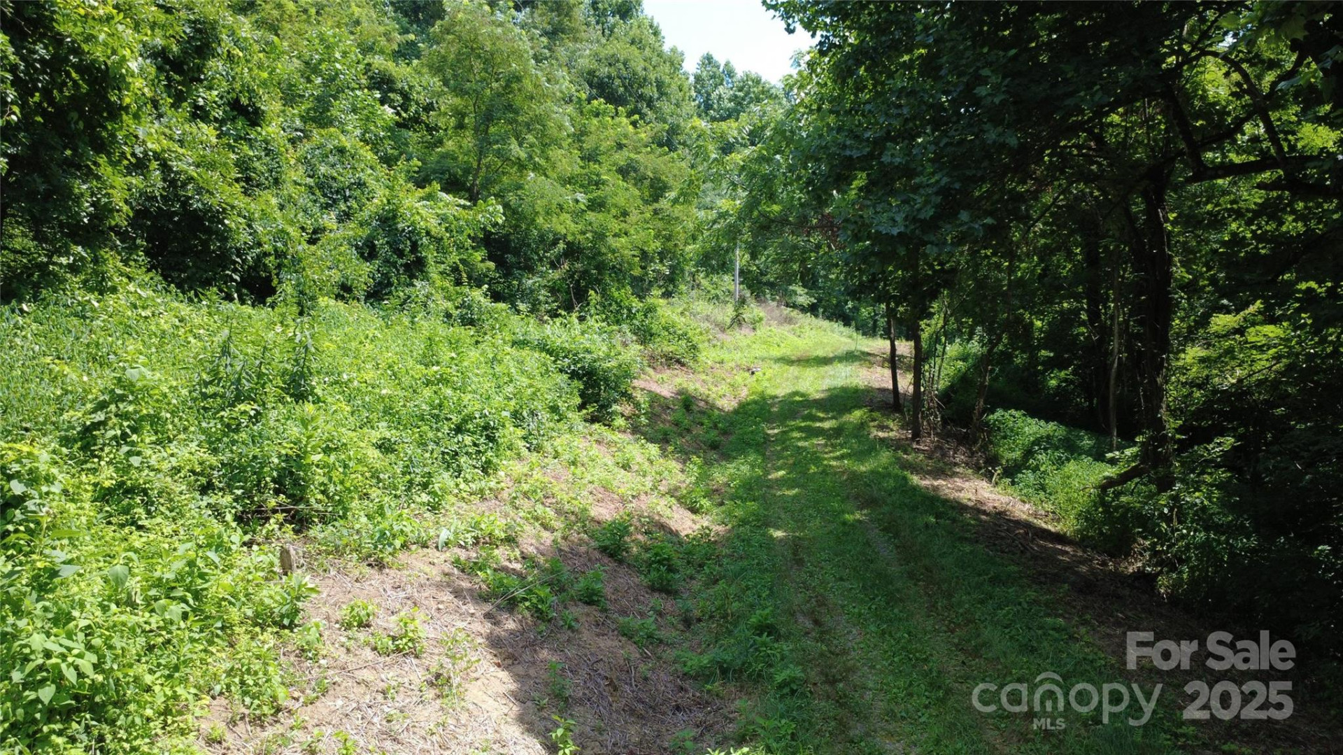 0 Poplar Ridge Lane - Photo 10