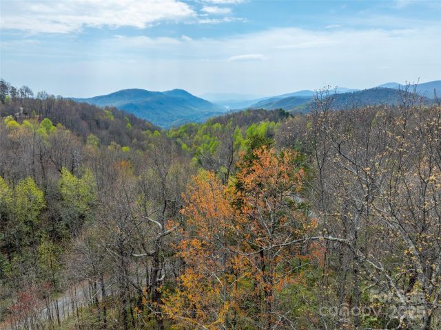 2603 McKenzie Way, Old Fort, NC, 28762