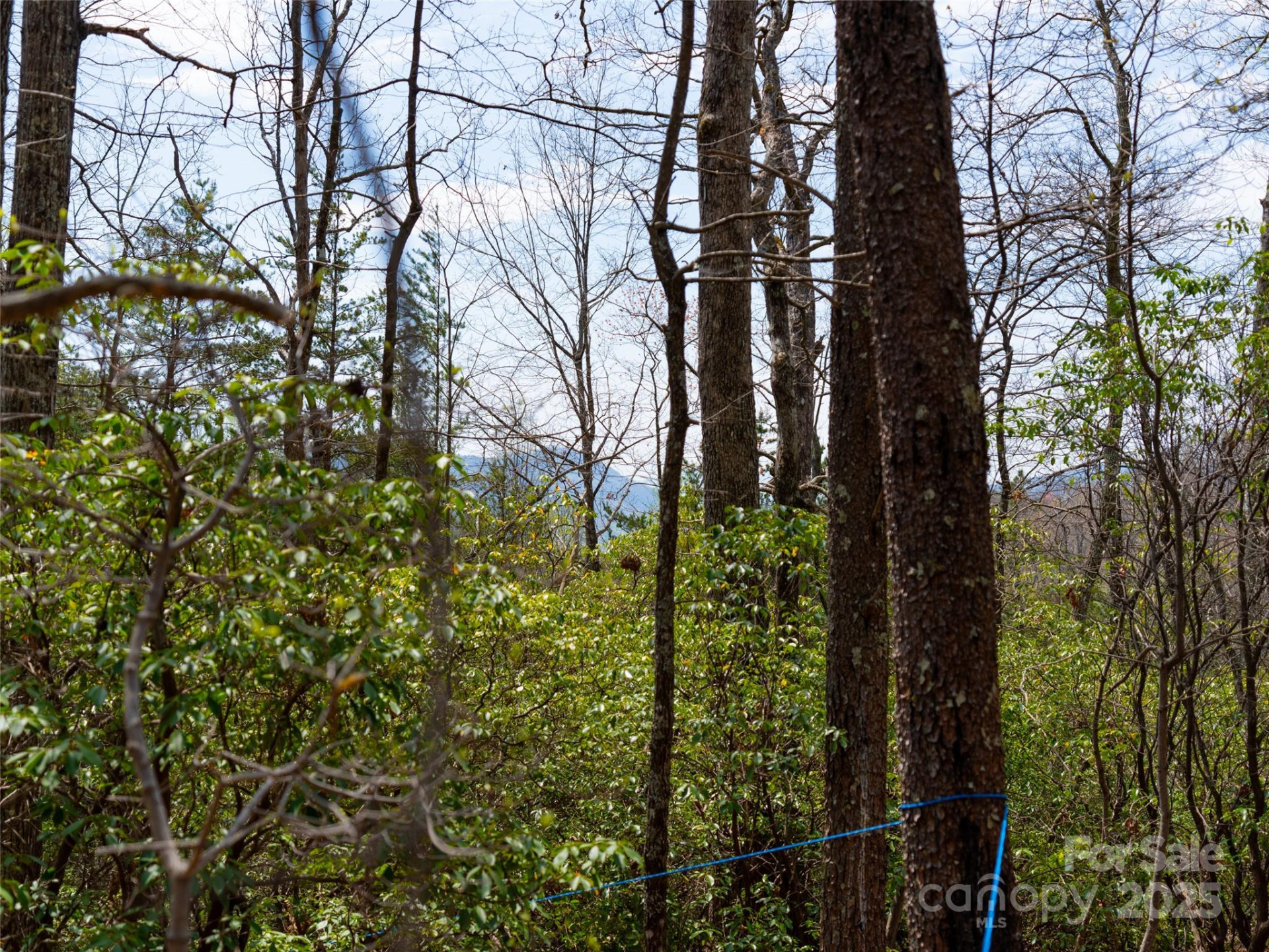 2603 McKenzie Way #244/245/246 - Photo 11