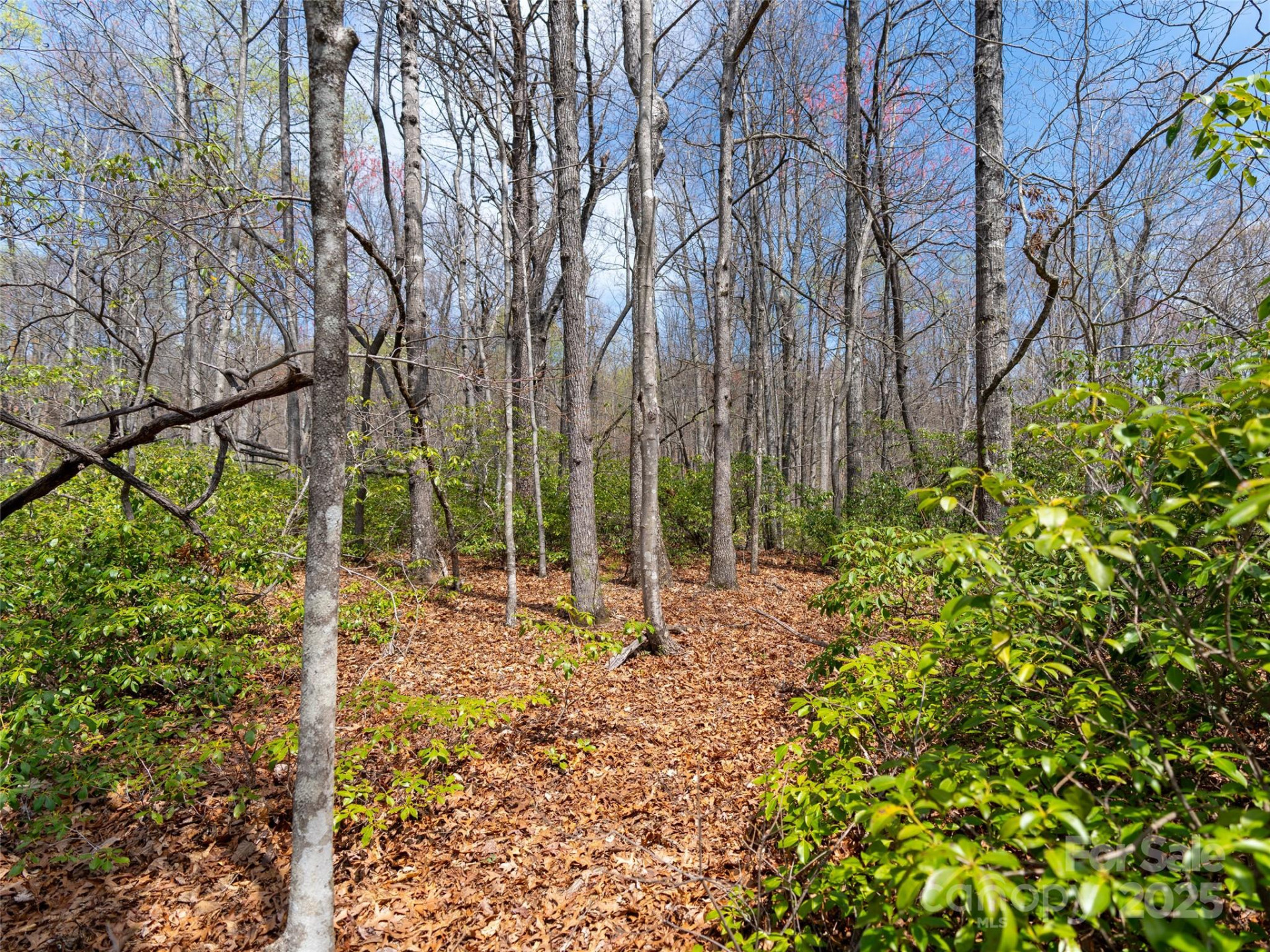 2603 McKenzie Way #244/245/246 - Photo 12