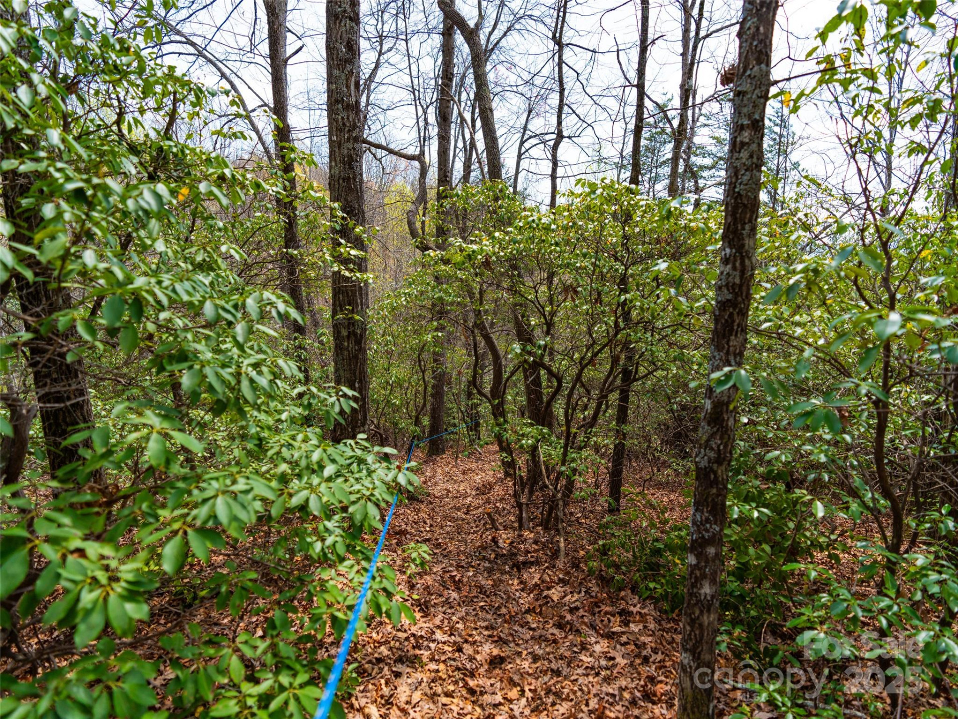 2603 McKenzie Way #244/245/246 - Photo 13