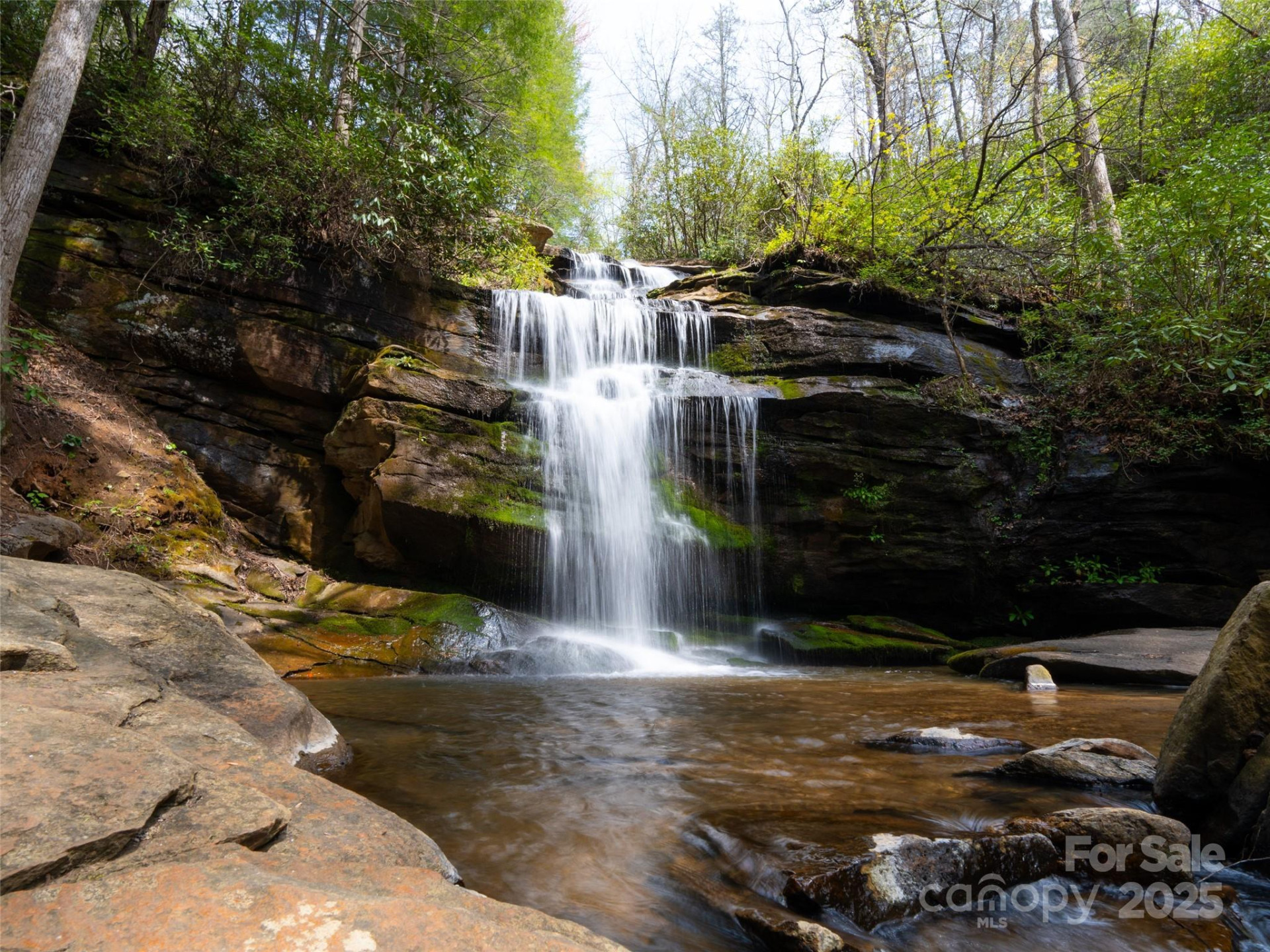 2603 McKenzie Way #244/245/246 - Photo 14