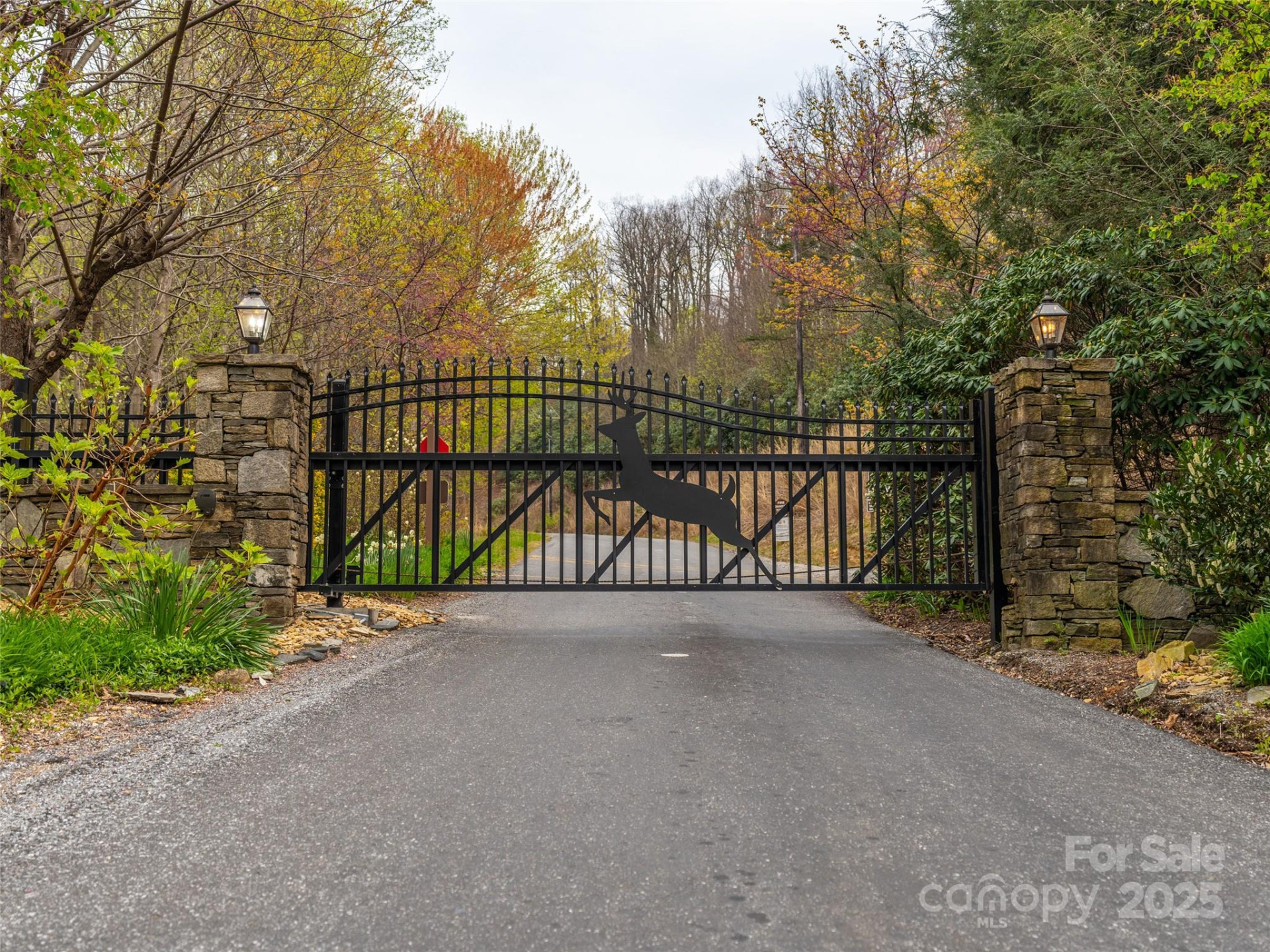 2603 McKenzie Way #244/245/246 - Photo 4