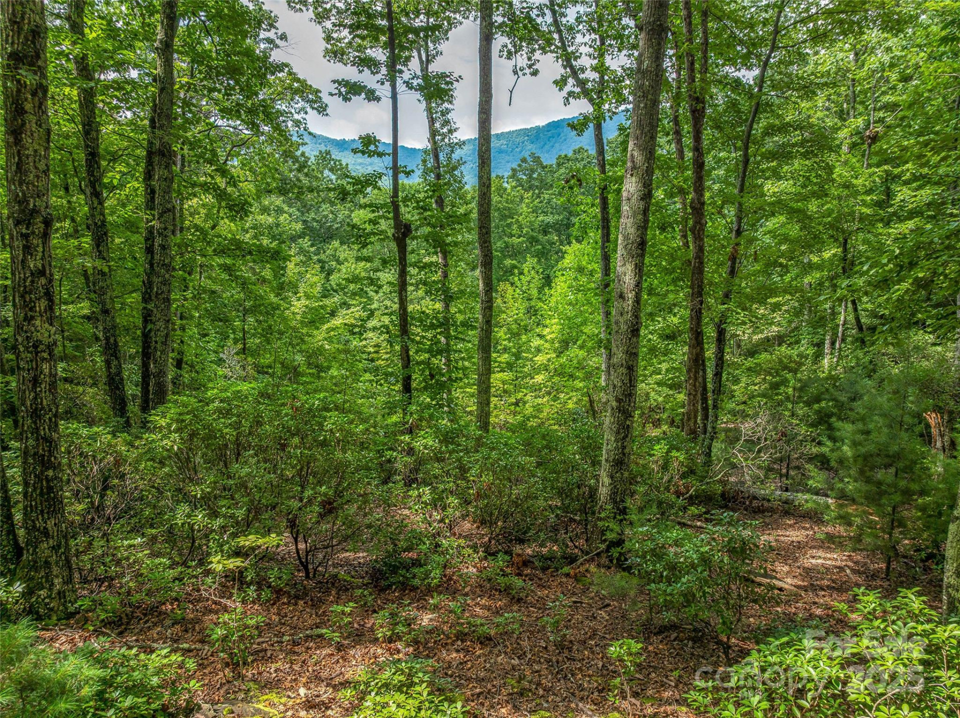 72 Smokey Ridge Trail #196