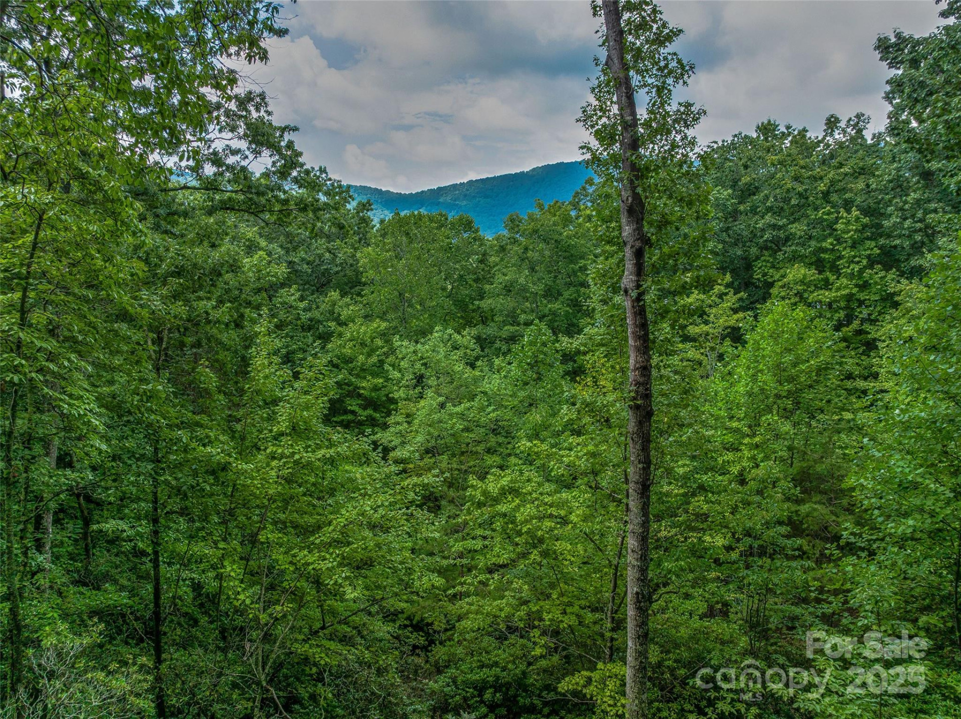 72 Smokey Ridge Trail #196 - Photo 2