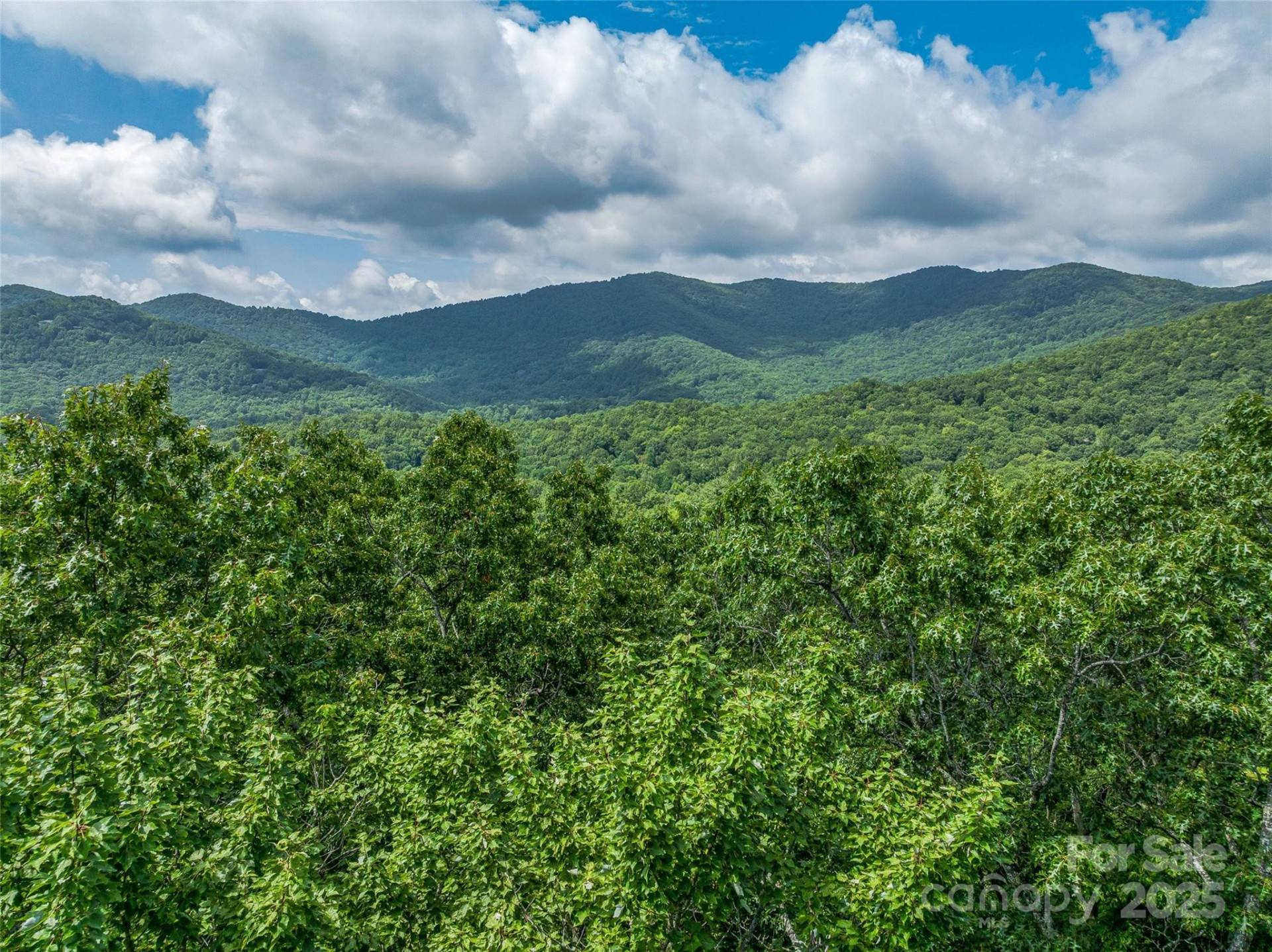 72 Smokey Ridge Trail #196 - Photo 15