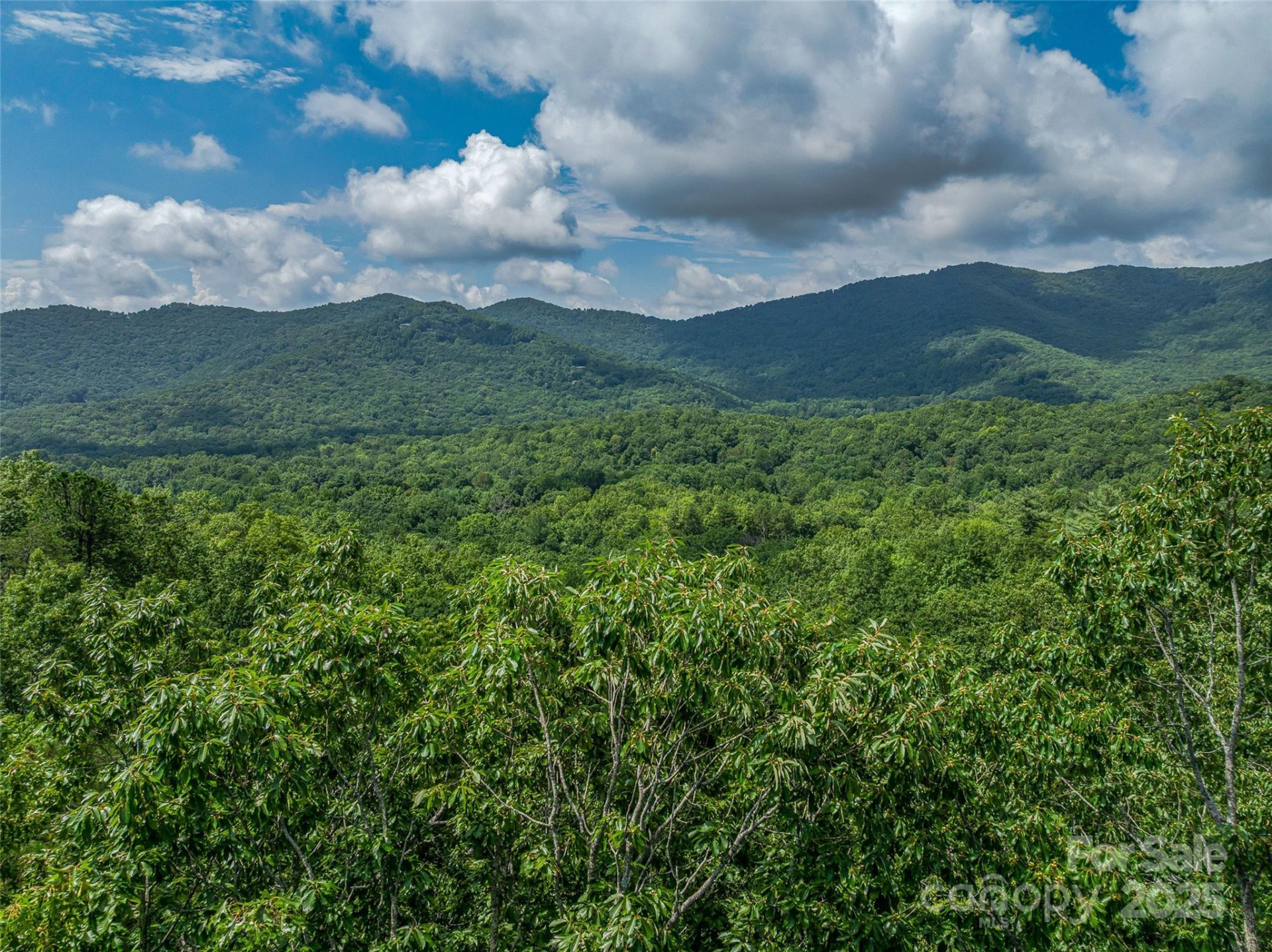 72 Smokey Ridge Trail #196 - Photo 16