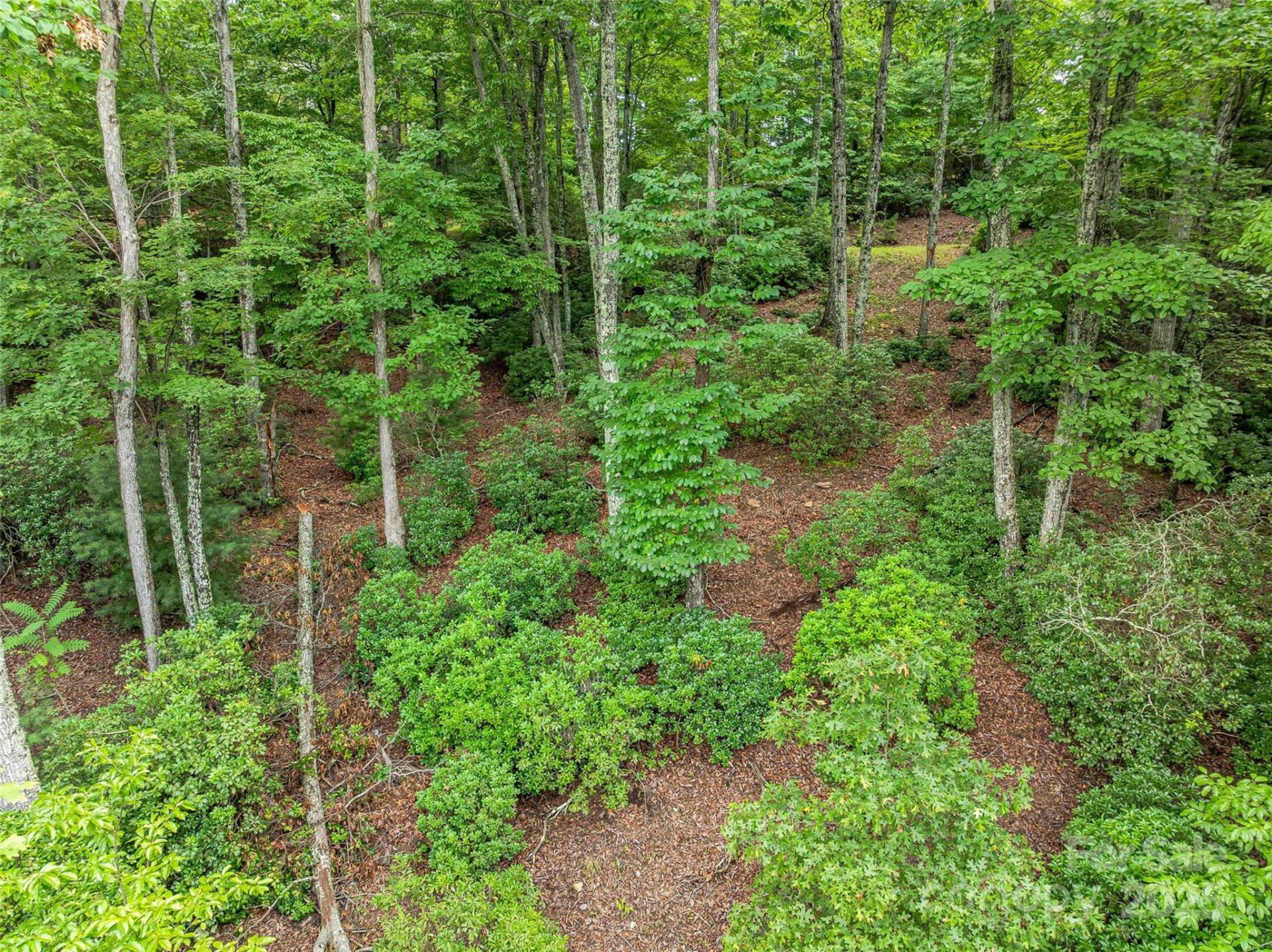 72 Smokey Ridge Trail #196 - Photo 17