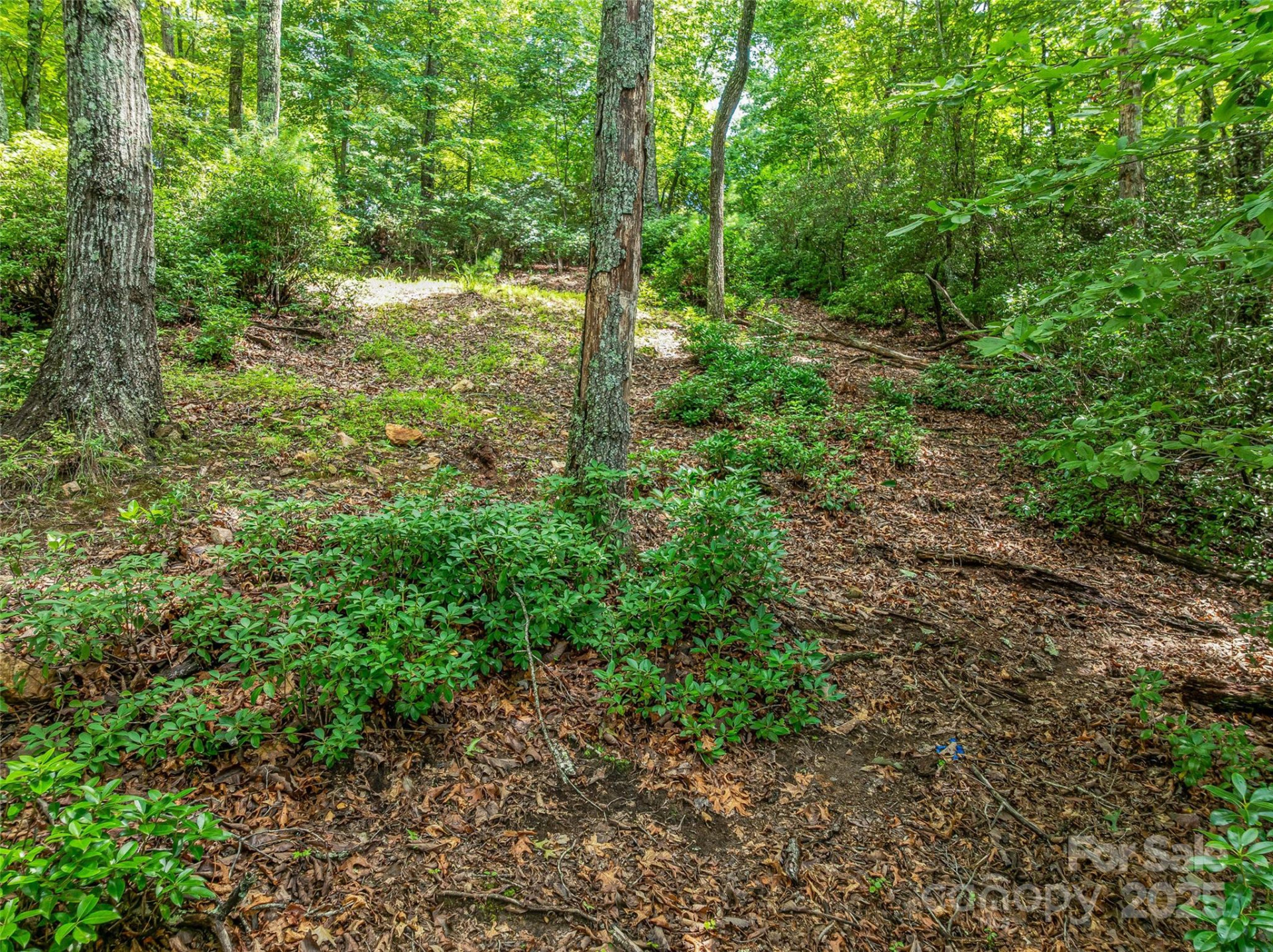 72 Smokey Ridge Trail #196 - Photo 18
