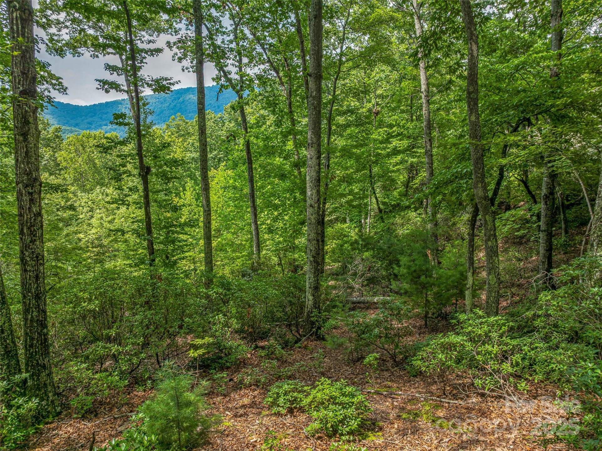 72 Smokey Ridge Trail #196 - Photo 19