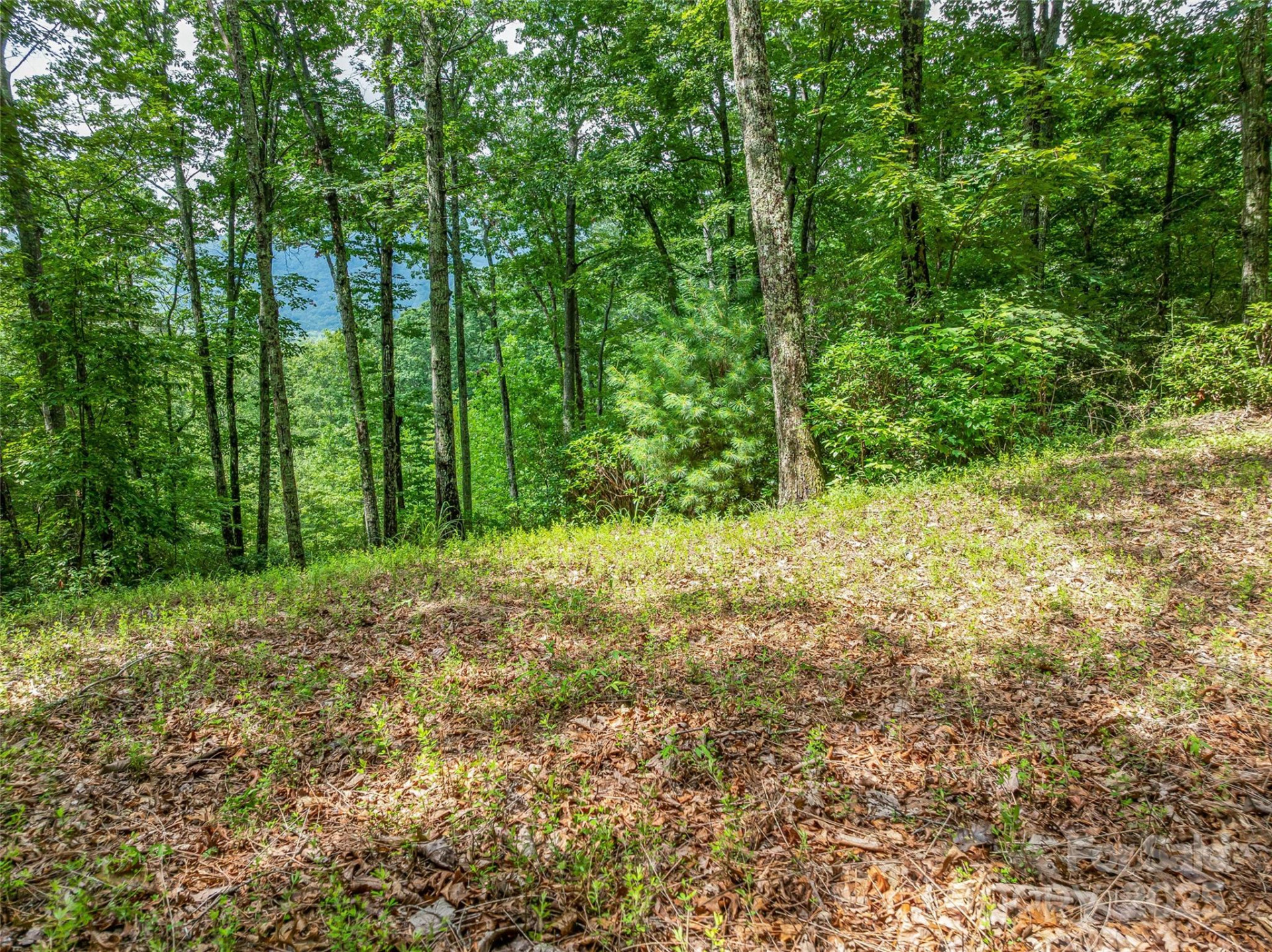 72 Smokey Ridge Trail #196 - Photo 20