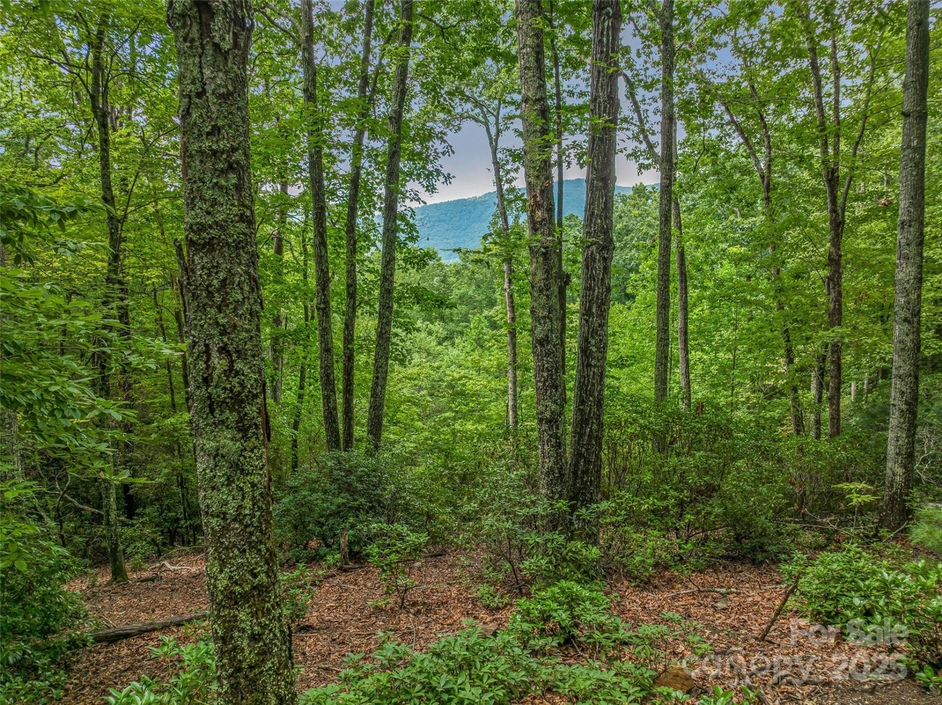 72 Smokey Ridge Trail #196 - Photo 21